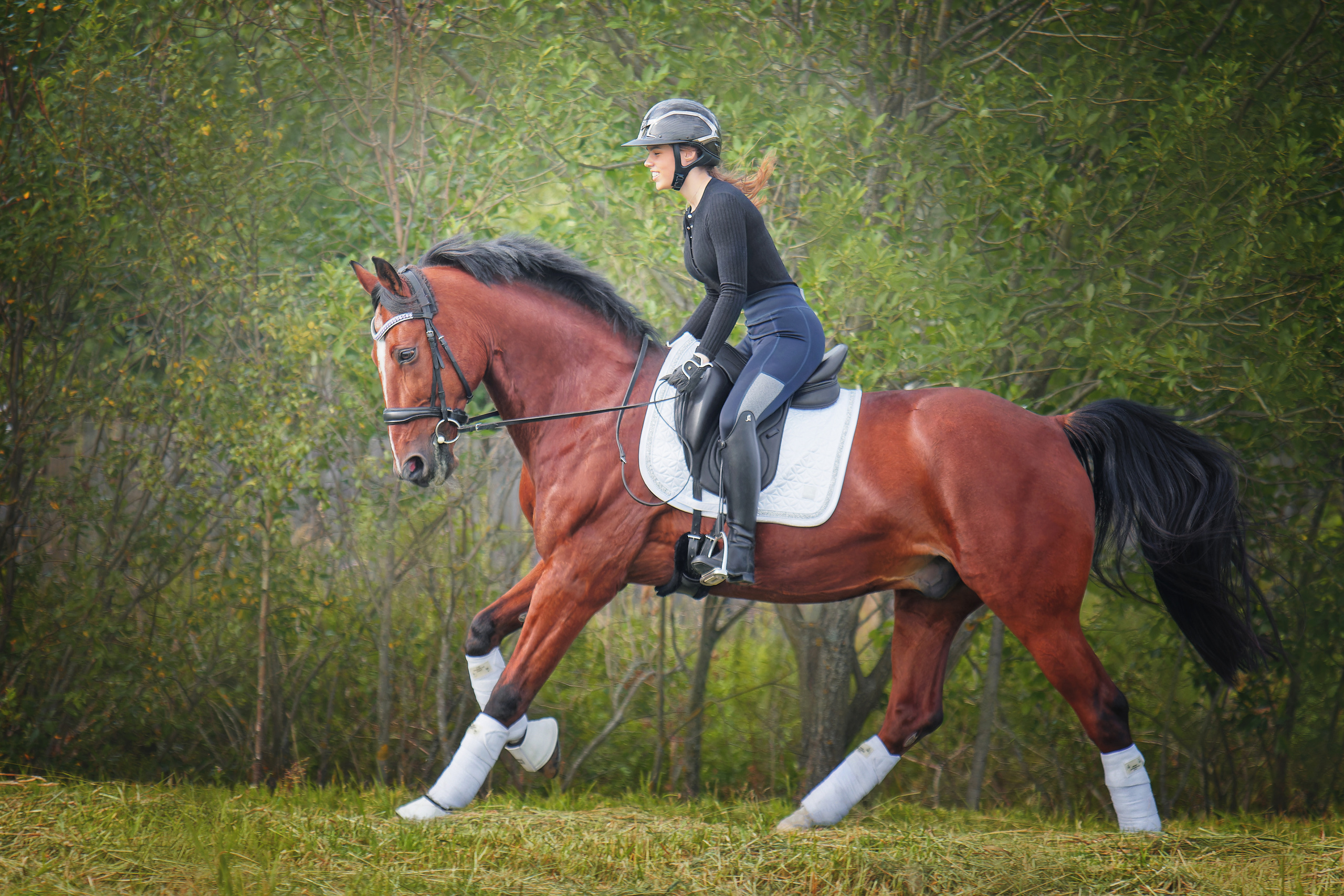 Лошади. Фотограф-анималист Юлия Зубкова