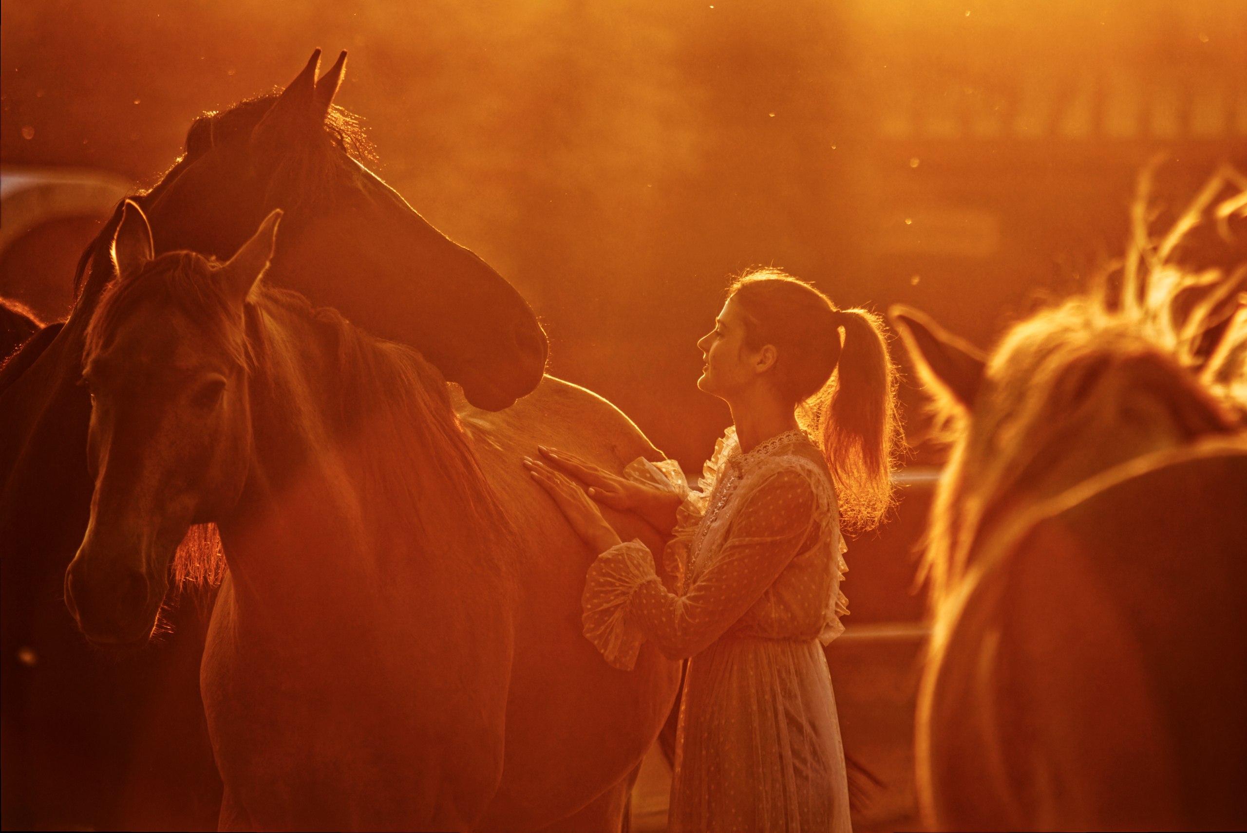 Лошади. Фотограф-анималист Юлия Зубкова