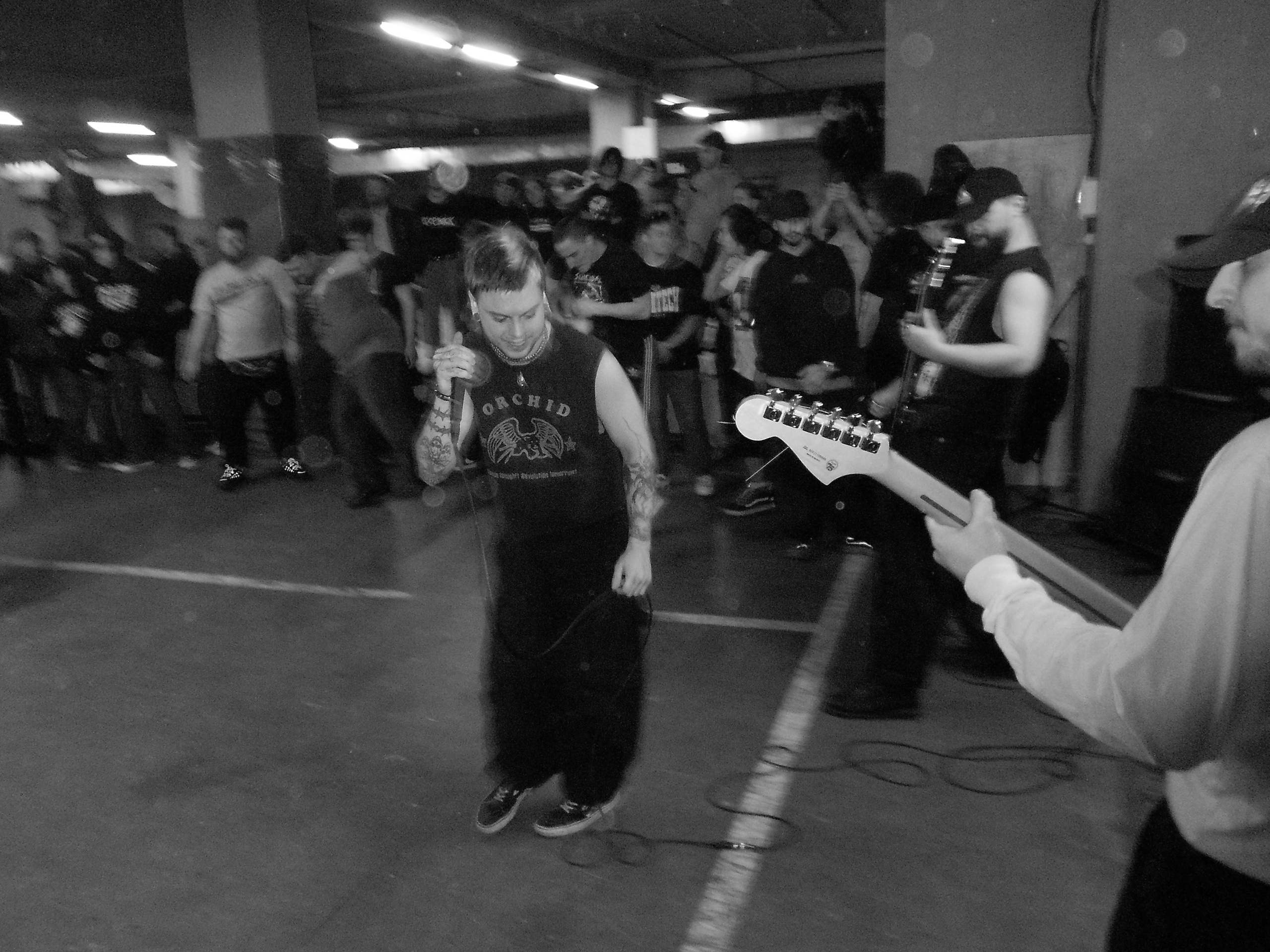 Стафф. Просто свет