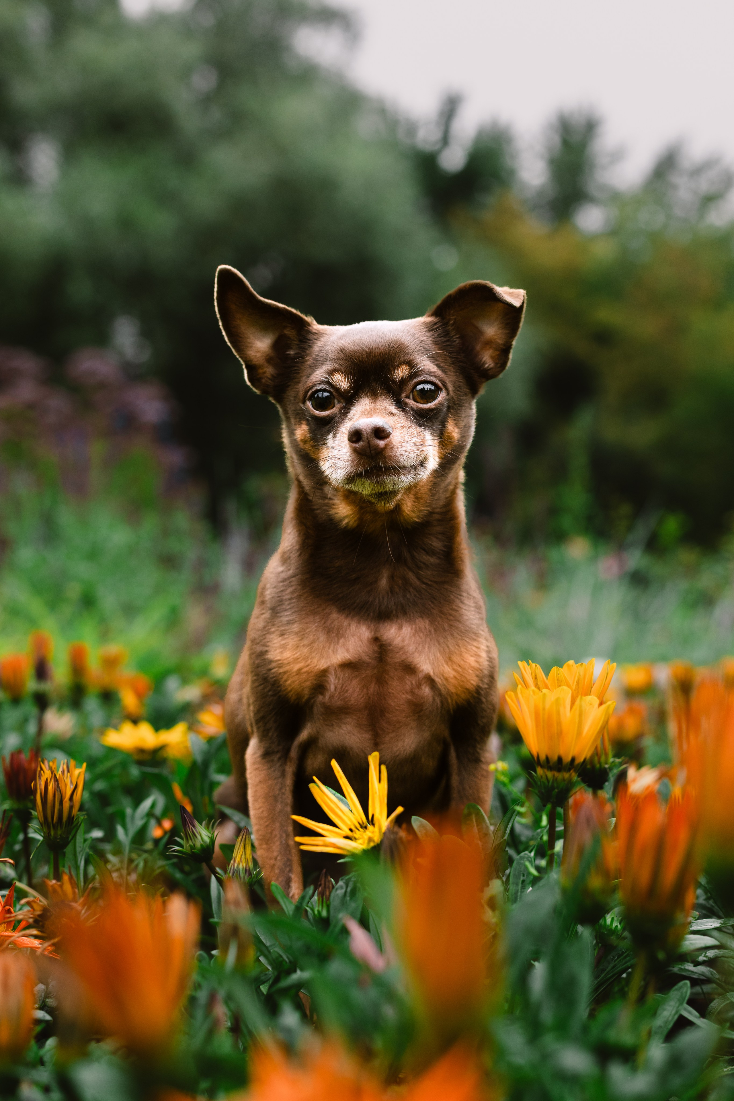 Юля и Леонид. Фотограф-анималист Татьяна Степанова