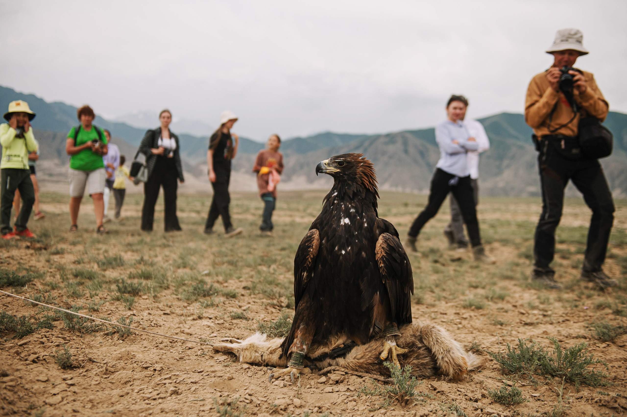 Киргизия. Репортажный фотограф в Москве и по всему миру Степанова Юлия