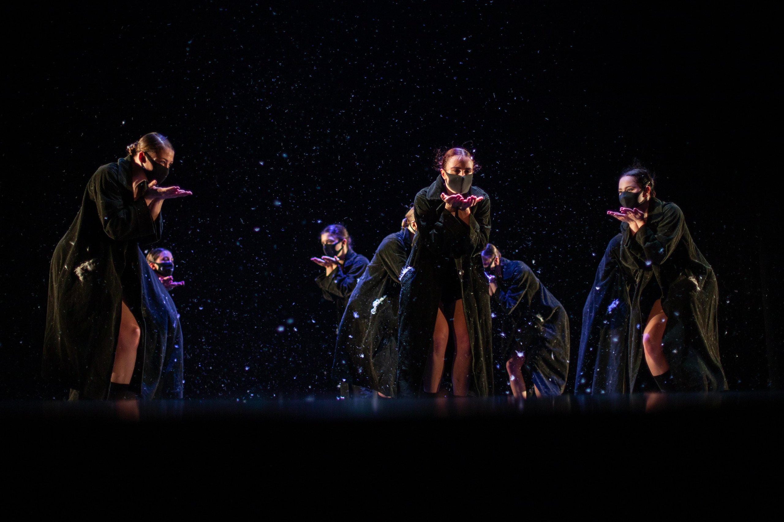 Концерты. Виолетта Скрипка