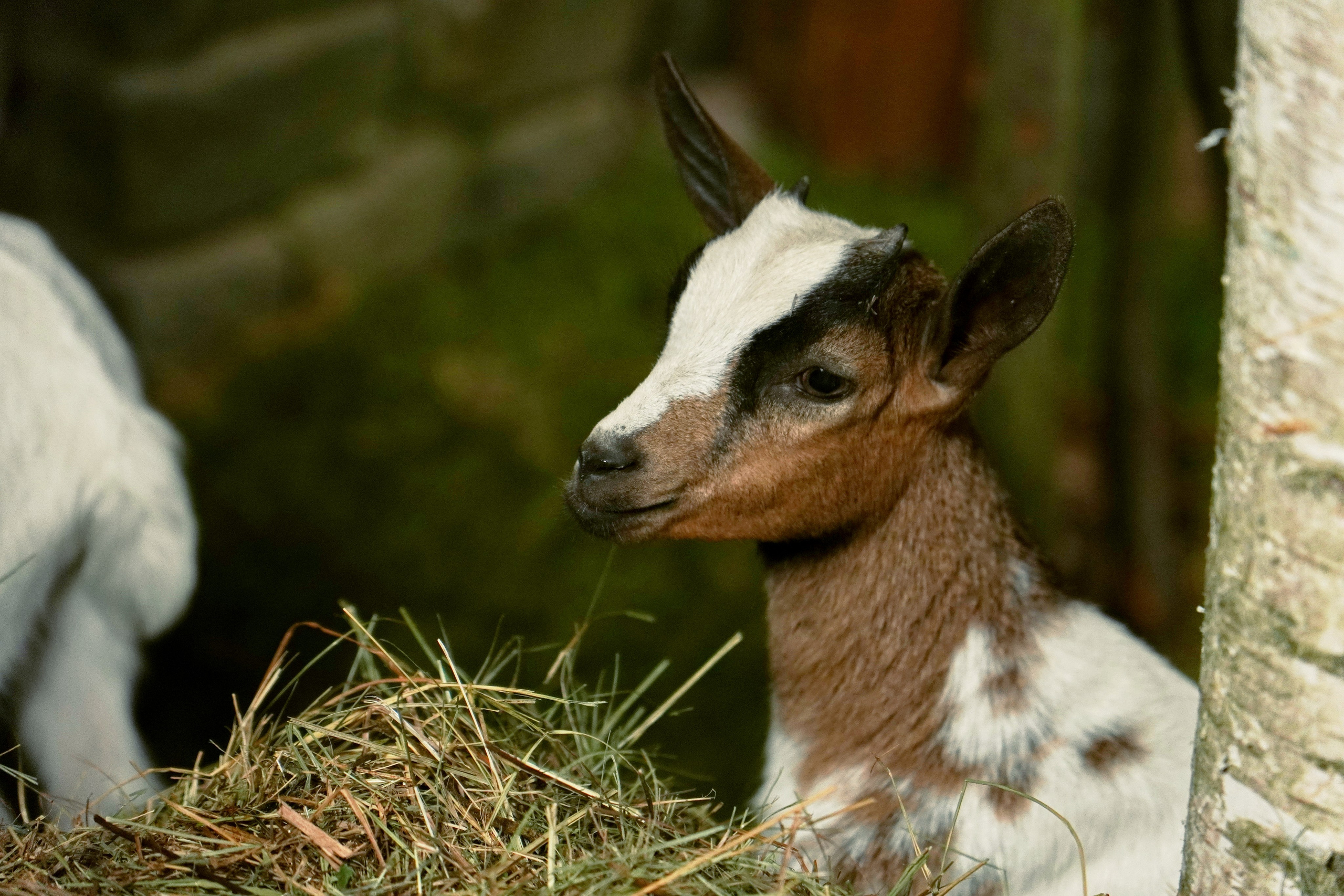 Место Силы Николая Павлова. Фото | Видео Контент Мишель Ватаманюк