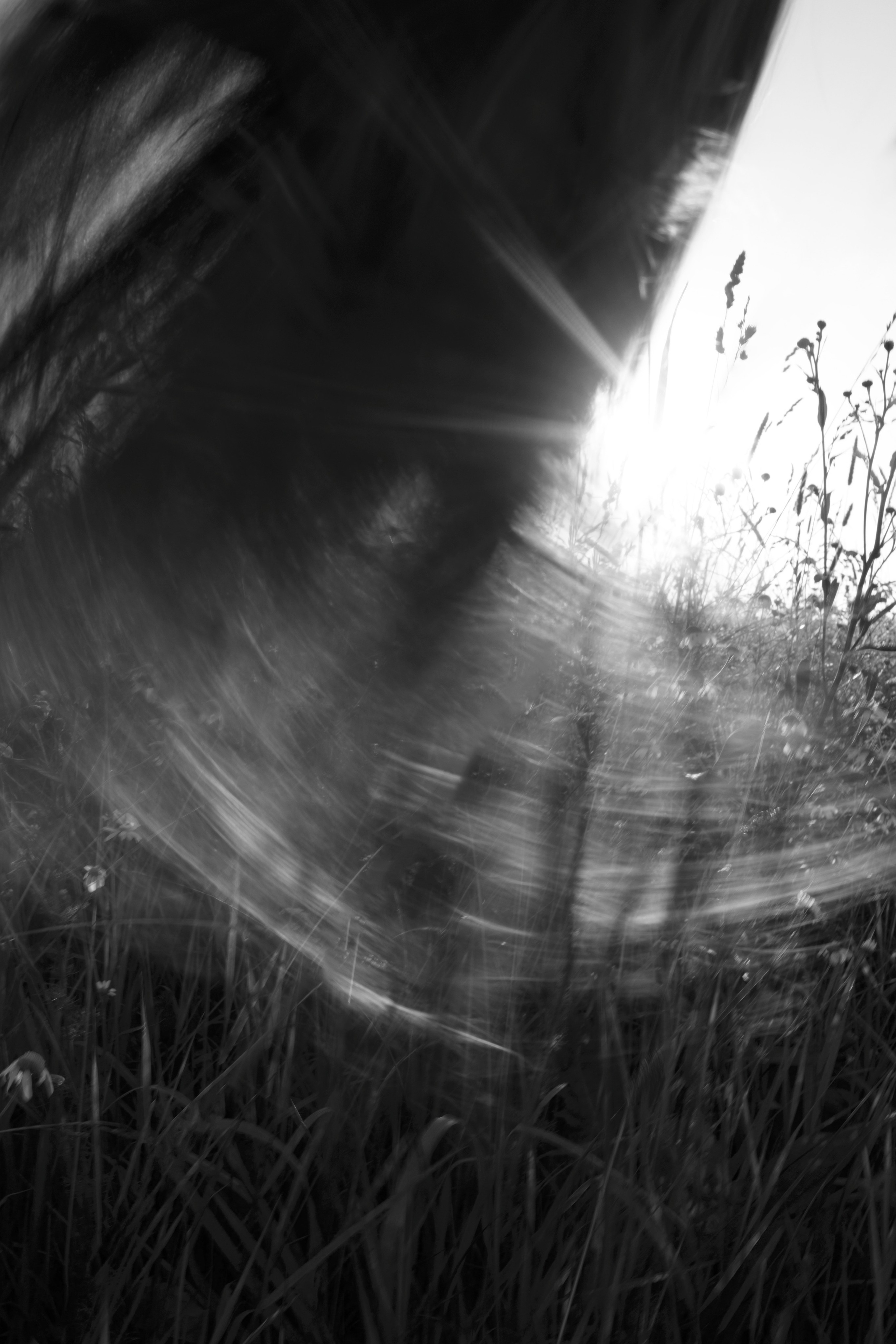 Мир тропы. Tatiana Mishchenko