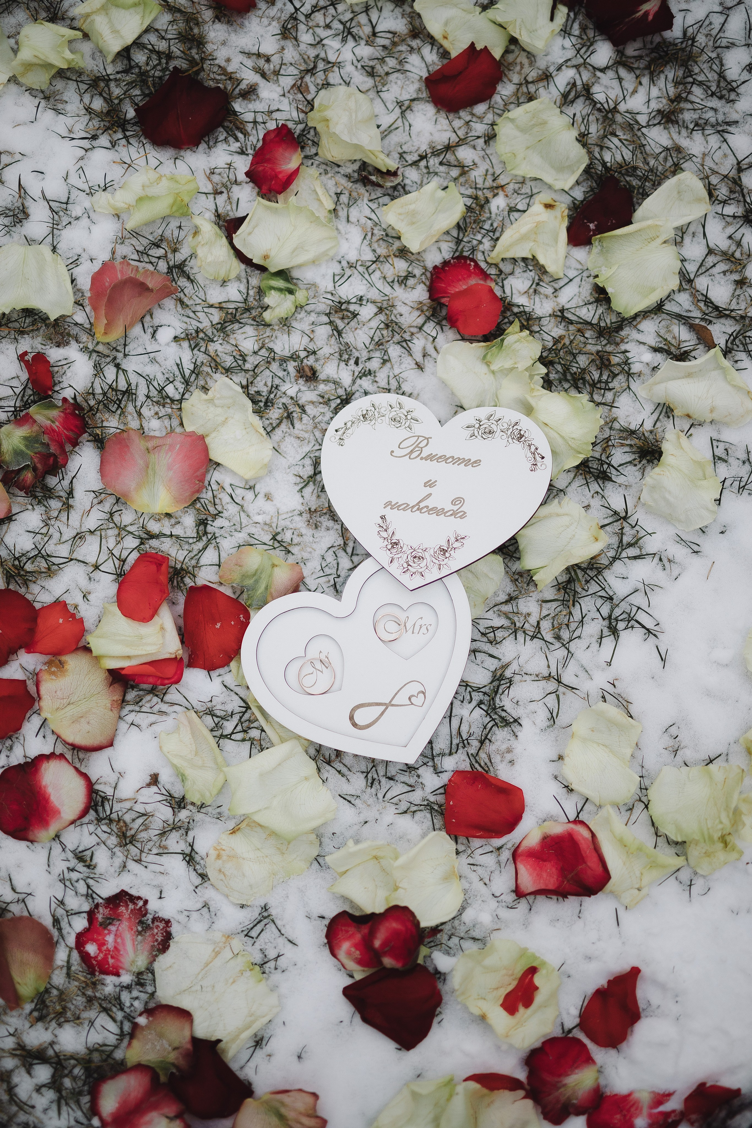 Свадьба Артёма и Лилии. Фотограф Кольчугино/Владимир/Москва Елизавета Иода