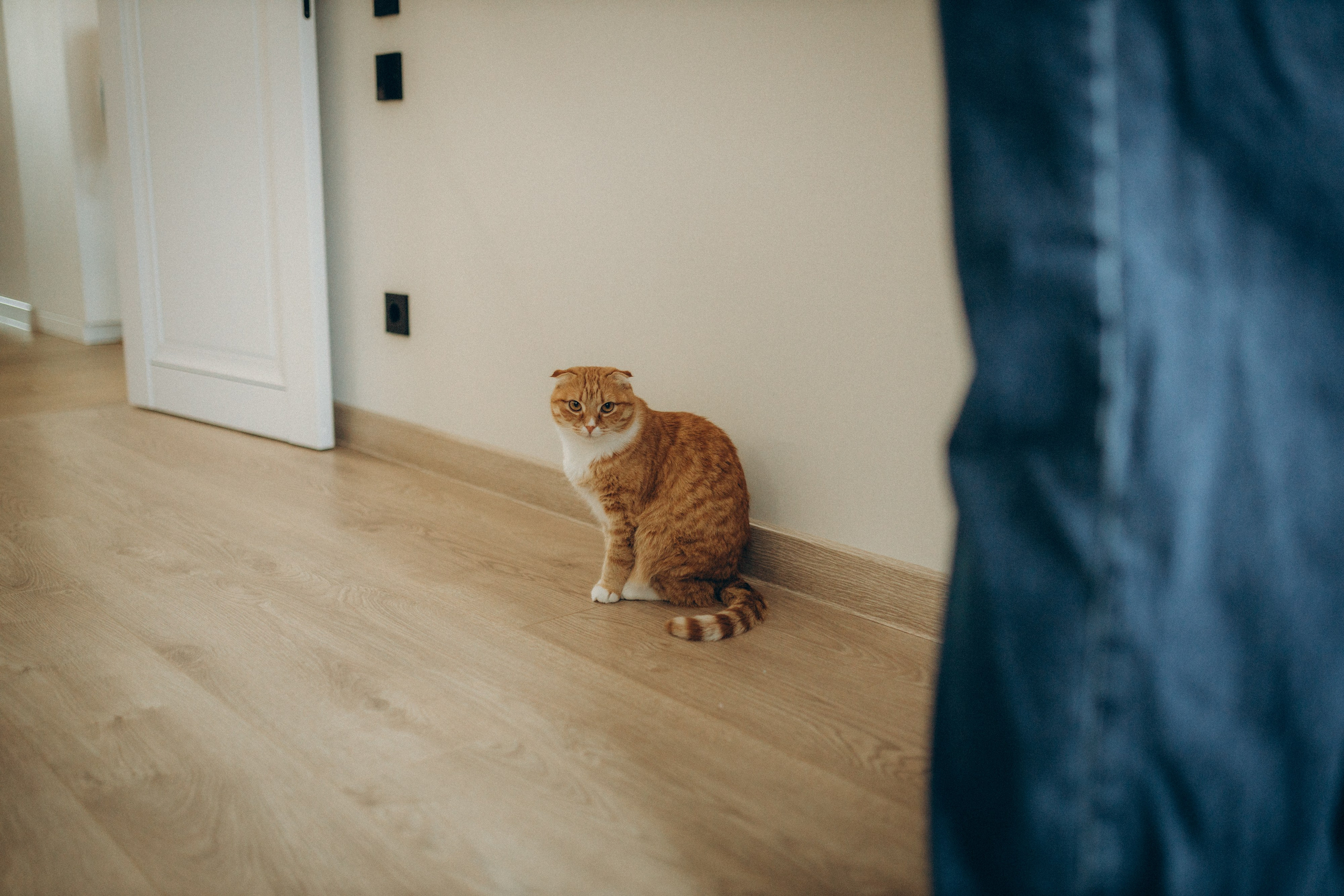 Аня, Кирилл и Ярослав. Семейный фотограф и фотограф на роды в Ростове-на-Дону Мухина Виктория
