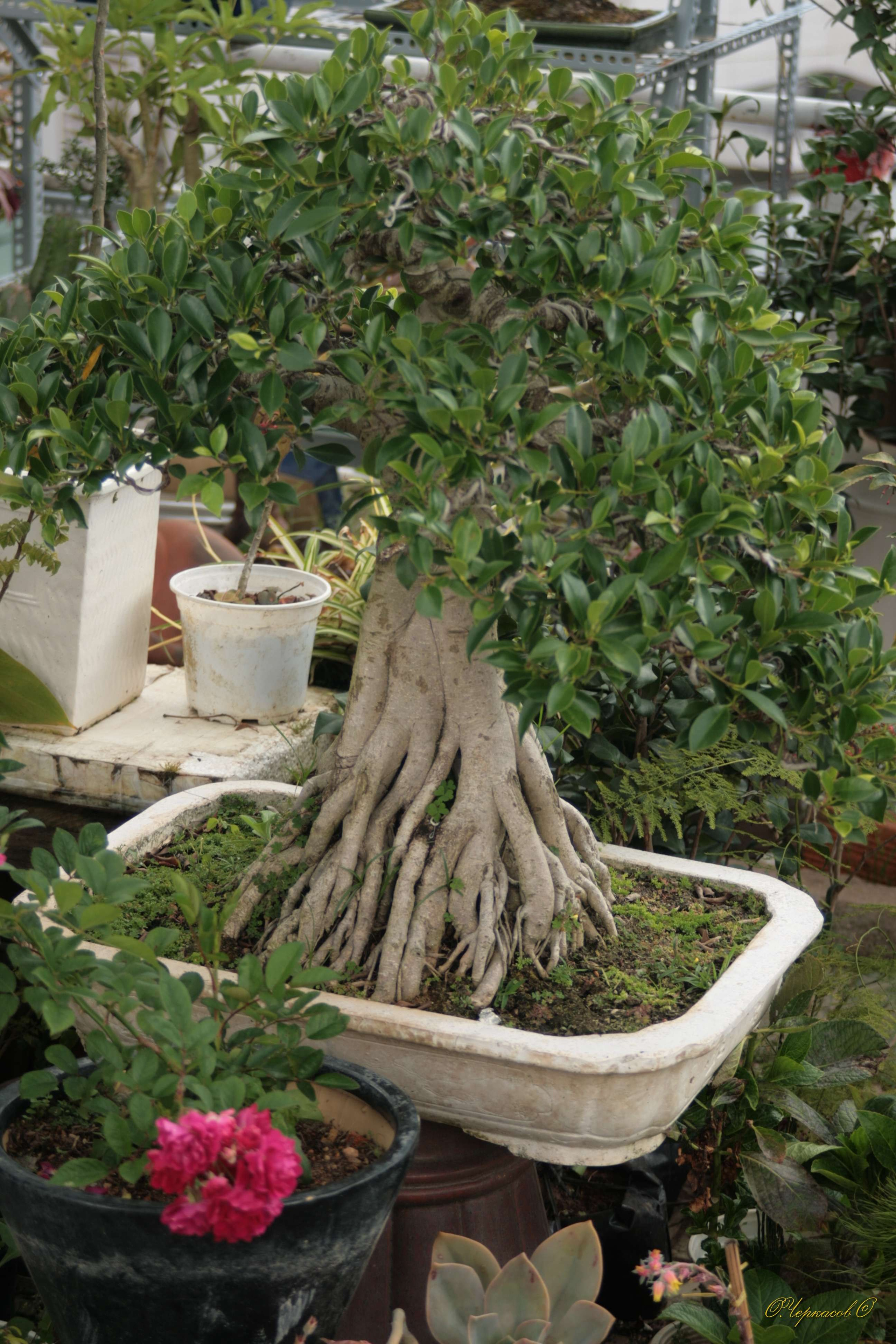 Вьетнам 2008 г. Улица, люди, жизнь…