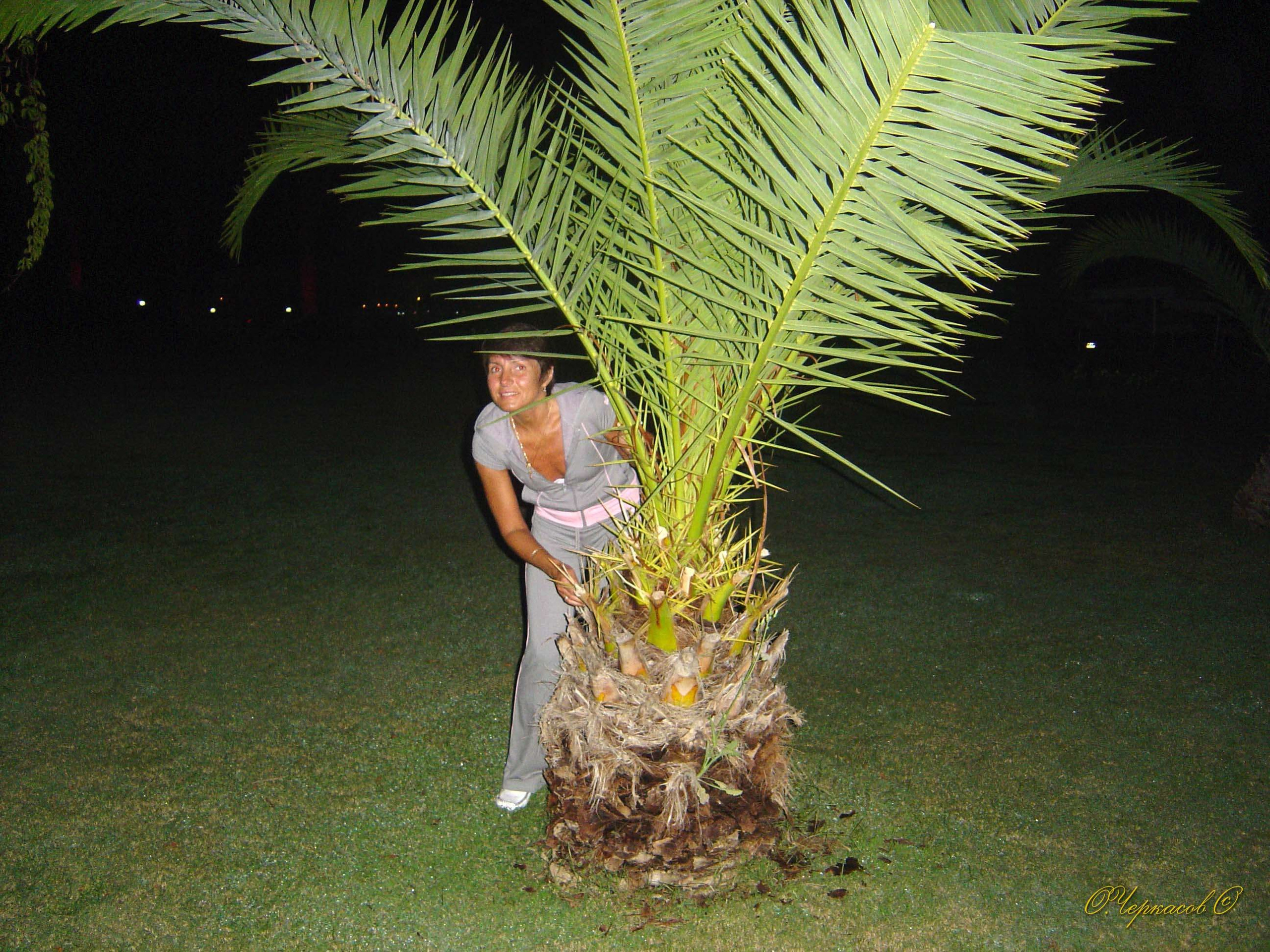 Турция, Зигана, 2005. Улица, люди, жизнь…