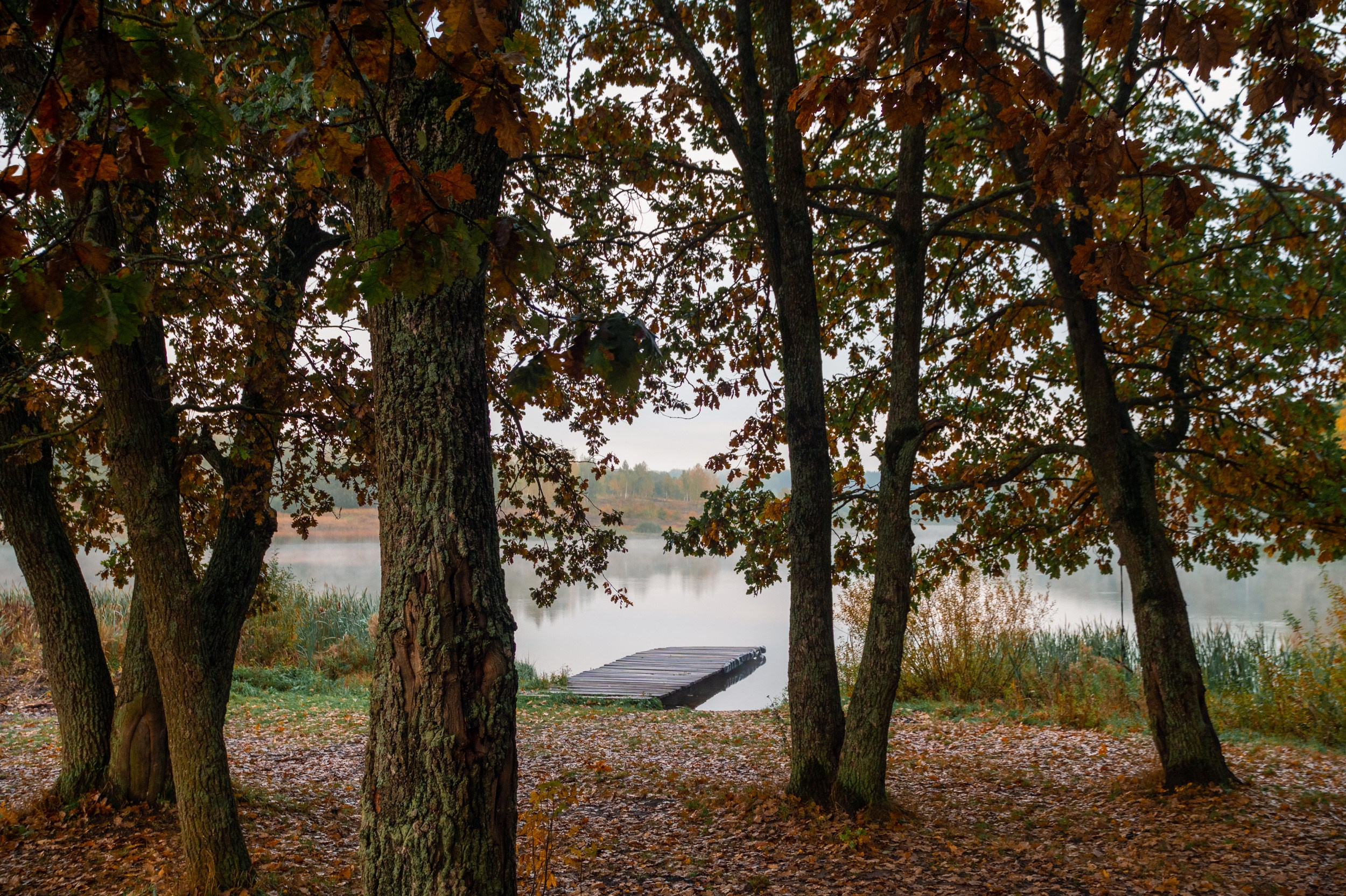 Озеро Грумант. Фотограф и видеооператор в Туле | Даниил Рыбак