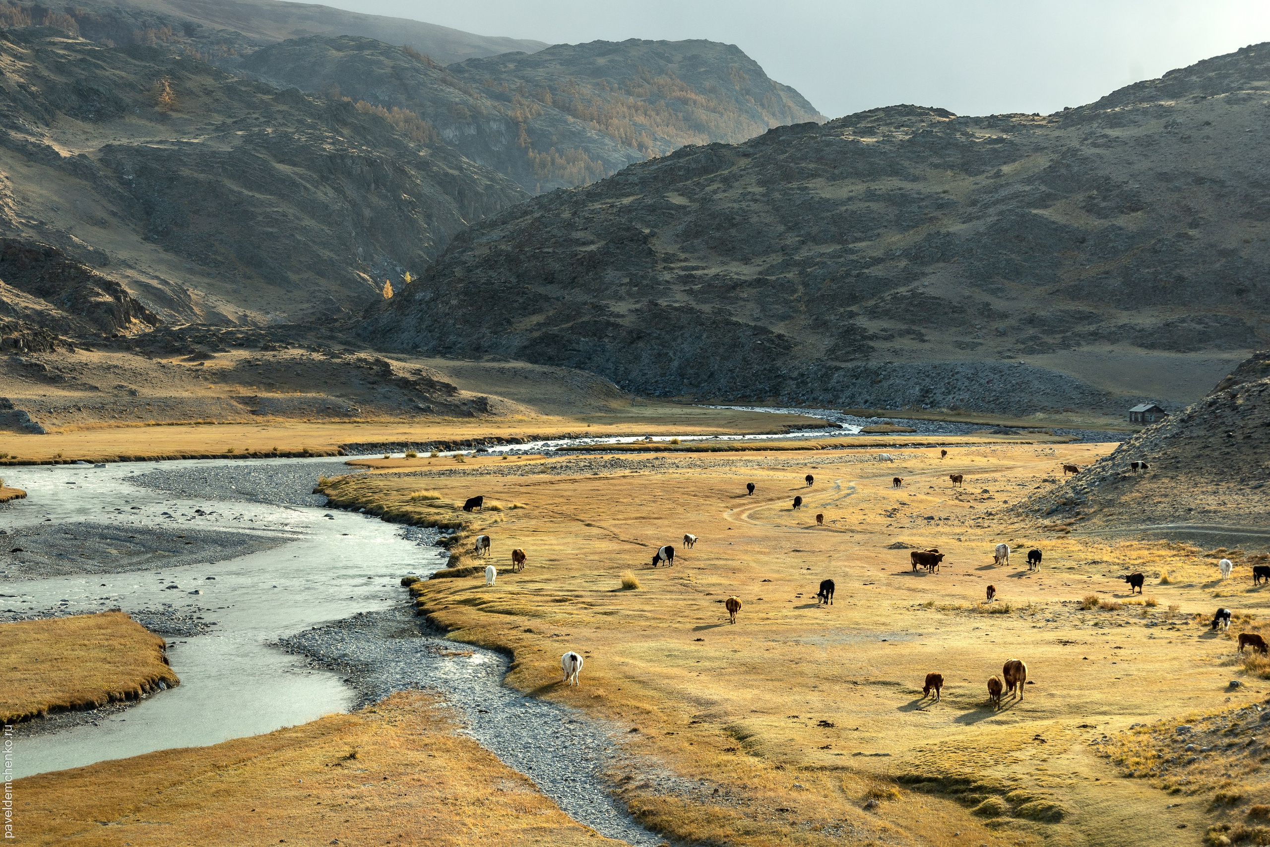 Осень в Горном Алтае 2024. Gennady Travel