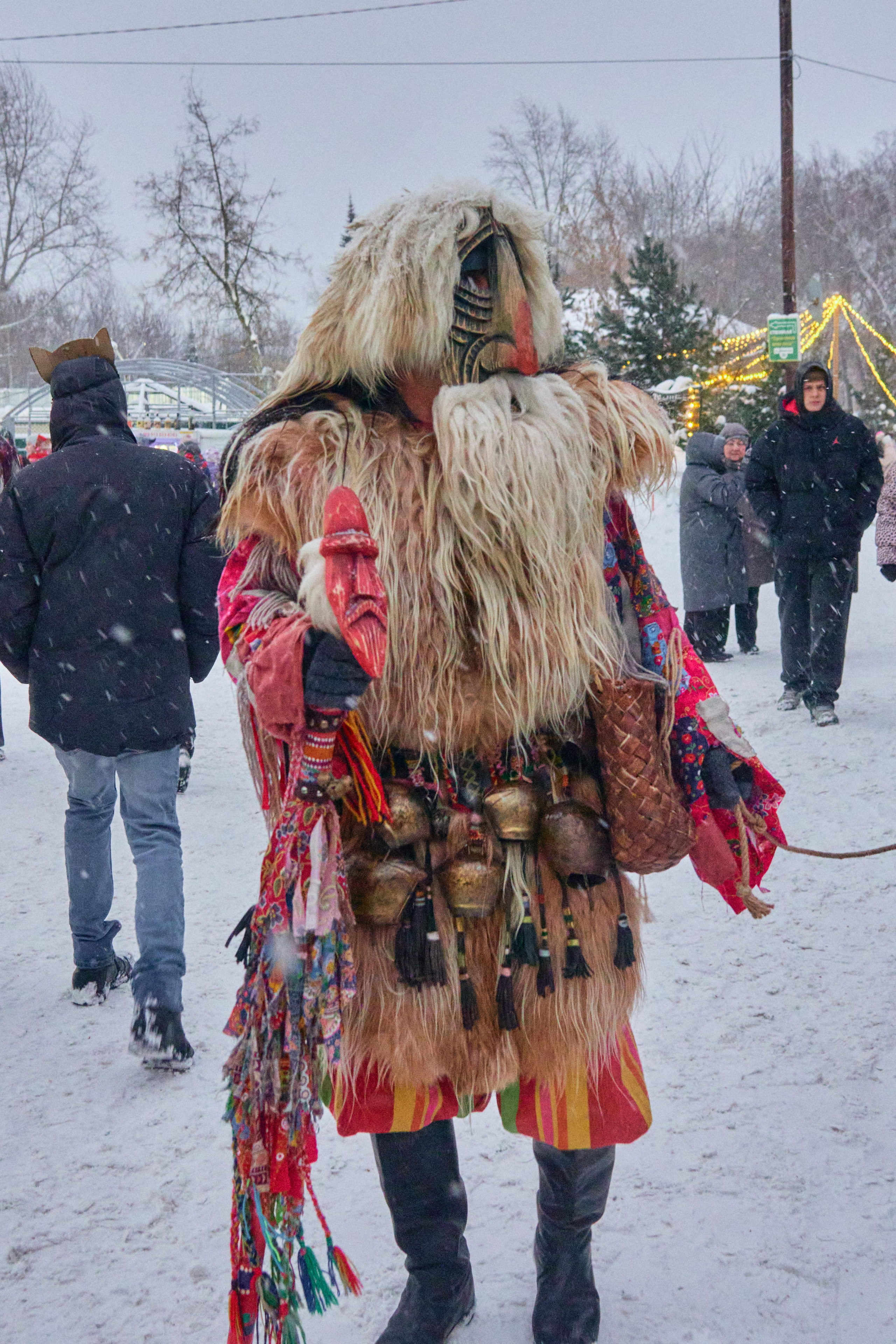 С медведем по соседям. Фотограф