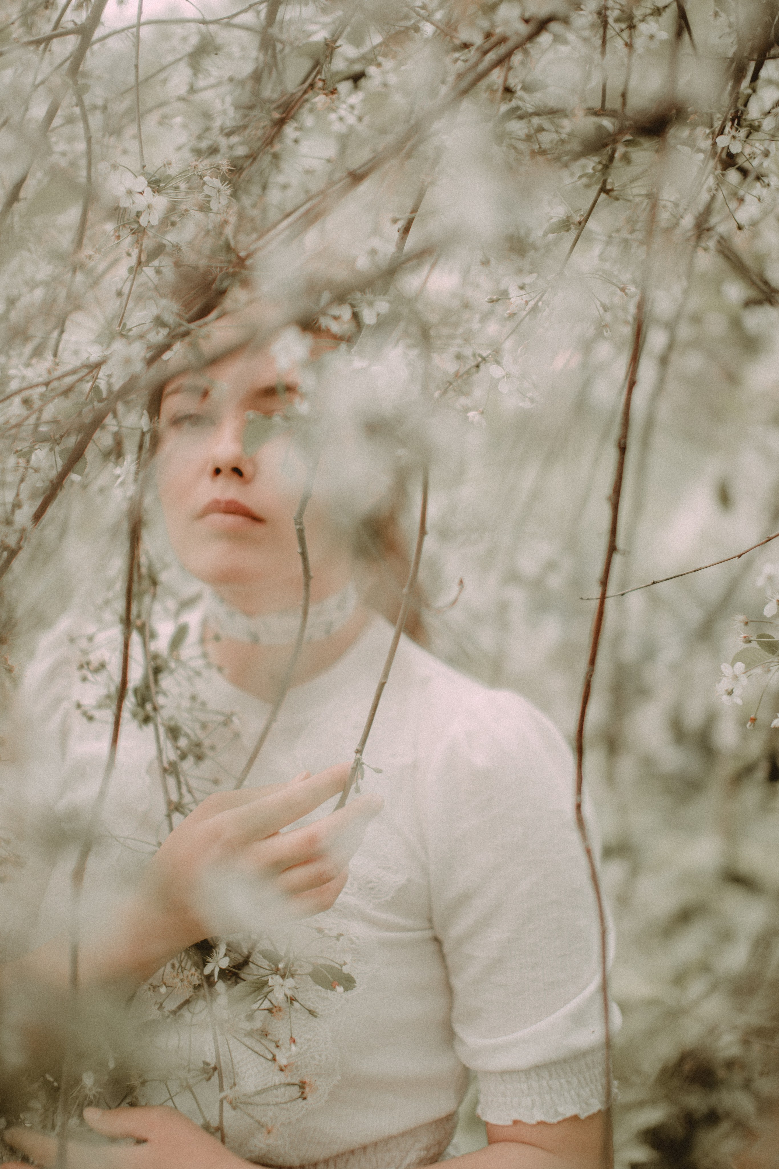 Девушка в цветах вишни. Свадебный и репортажный фотограф в Ярославле и Санкт-Петербурге Роман Микрюков