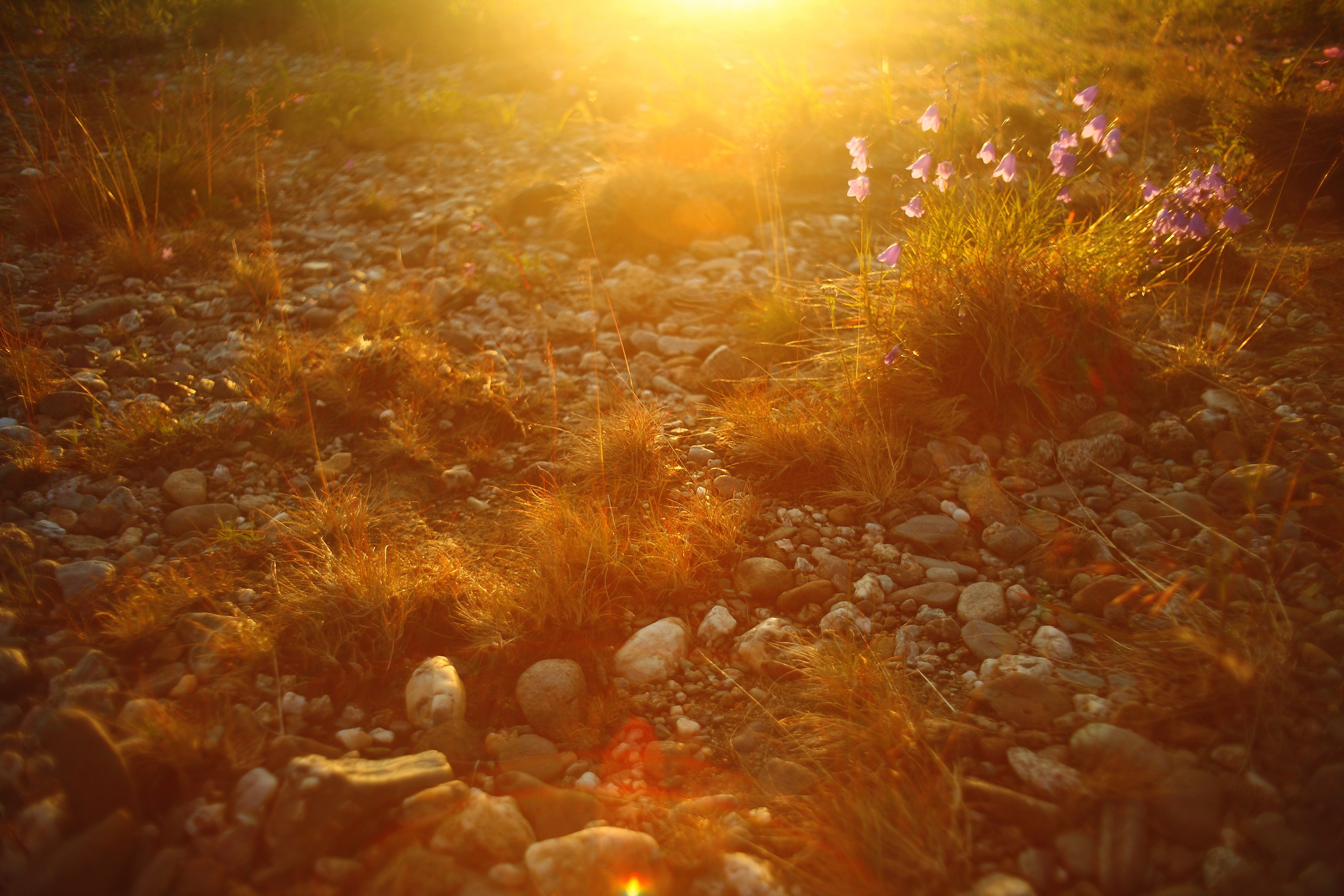 Полярный Урал. Свадебный и репортажный фотограф в Ярославле и Санкт-Петербурге Роман Микрюков