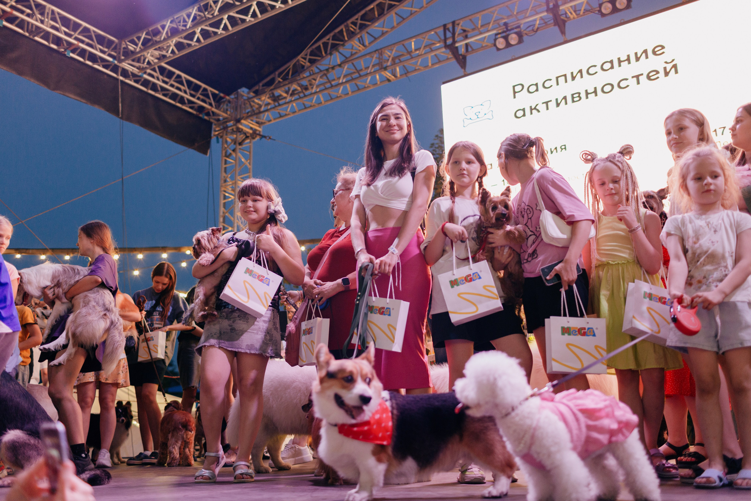 Dog Fest 2024. Главная
