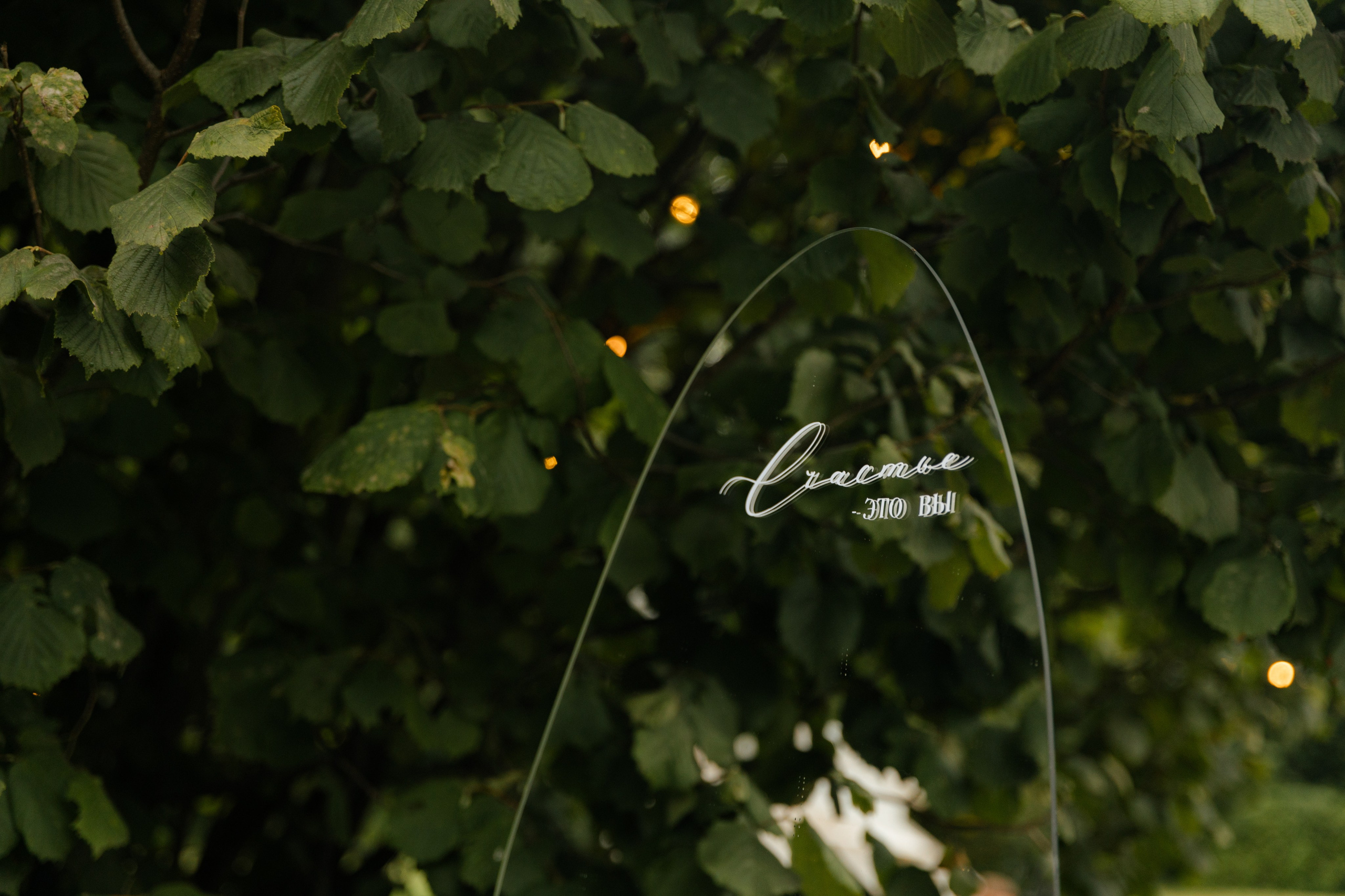 D & D. Главная