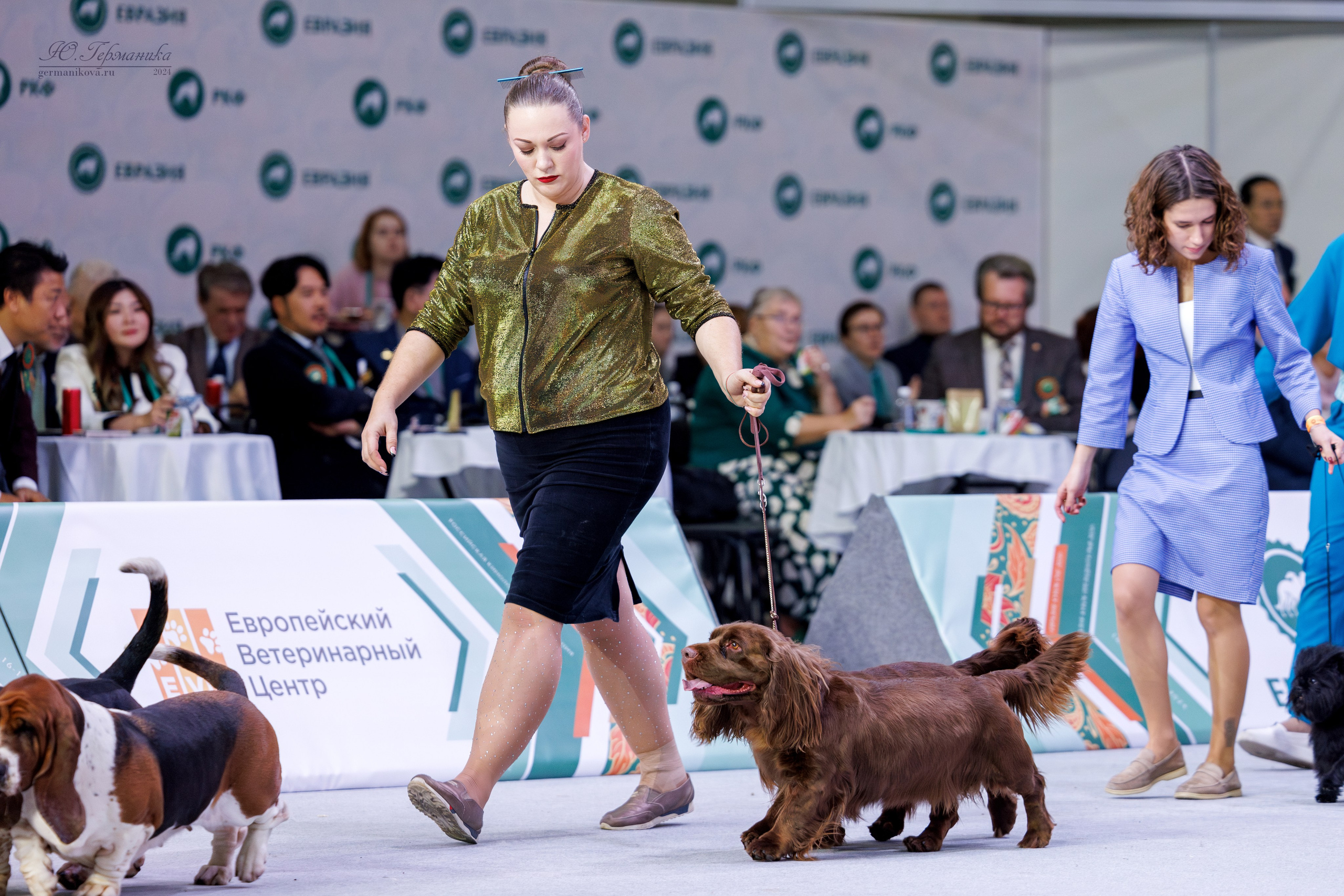 Евразия 16-17.11.2024. Фотограф-анималист Юлия Германика