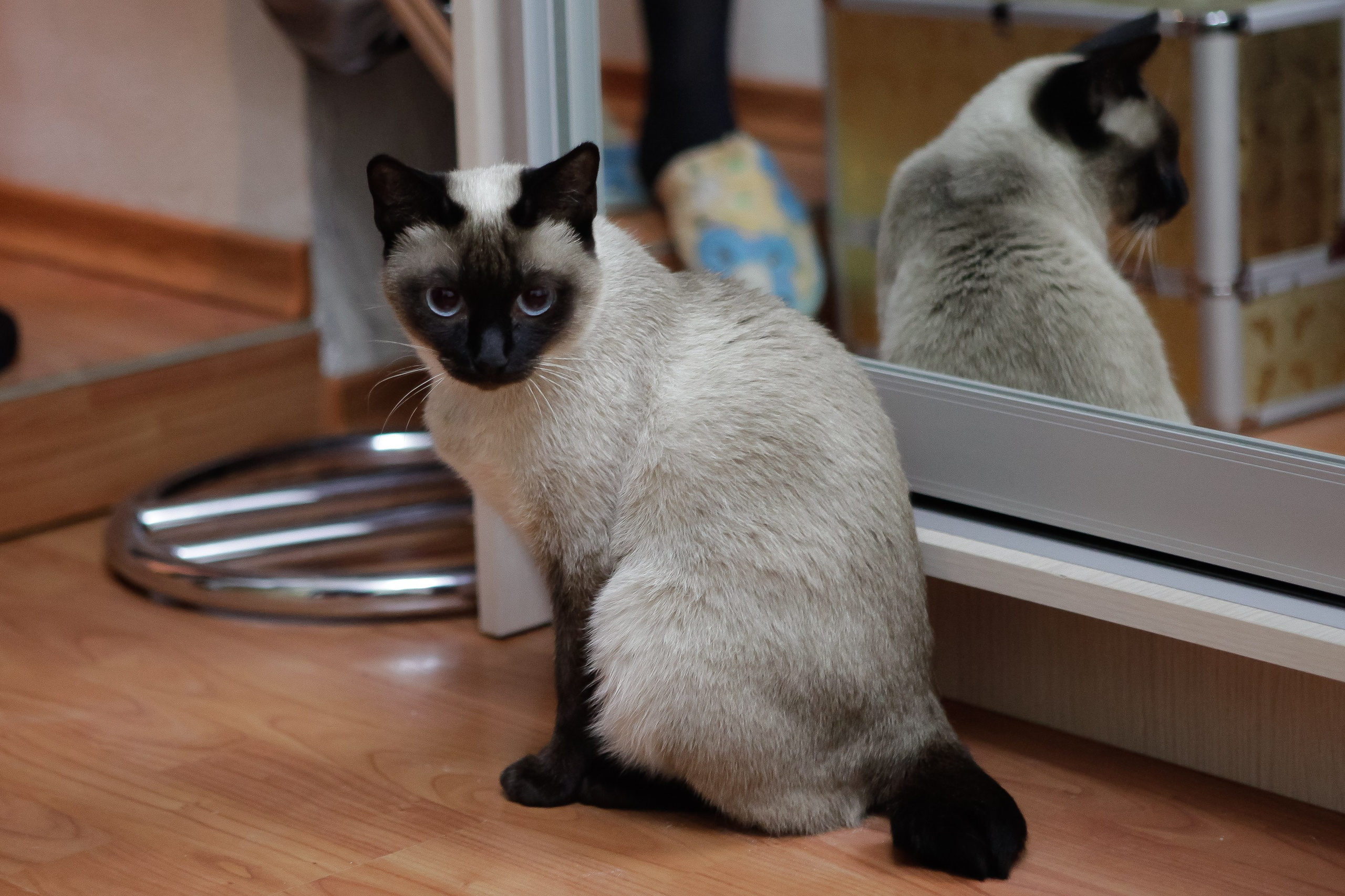 Утро/Morning. Максим Матвийченко и Виктория Басова профессионалы своего дела