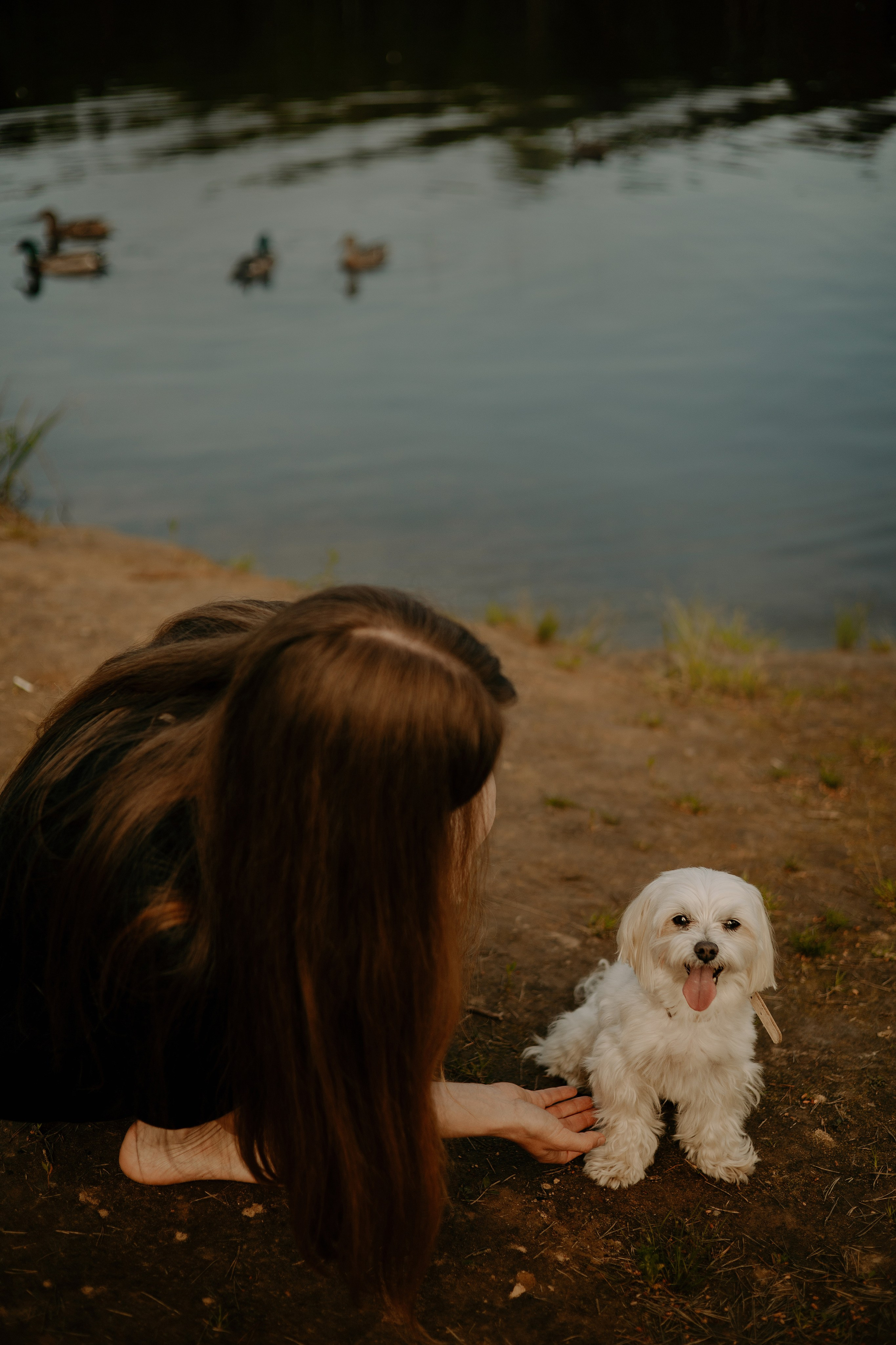 Оля и Джастин. Фотограф — анималист •love-story•|Санкт-Петербург
