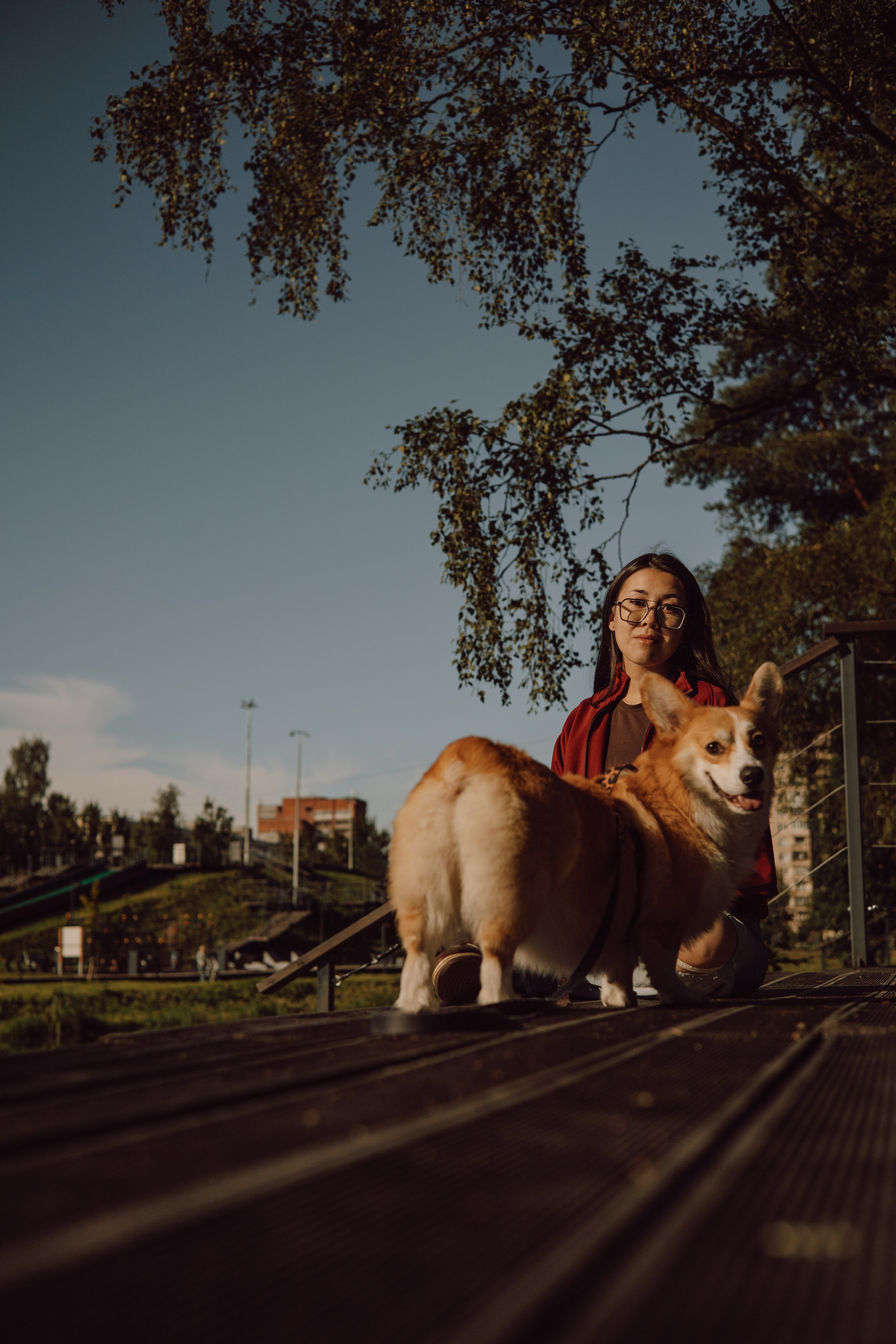 Мари & Йосик. Фотограф — анималист •love-story•|Санкт-Петербург