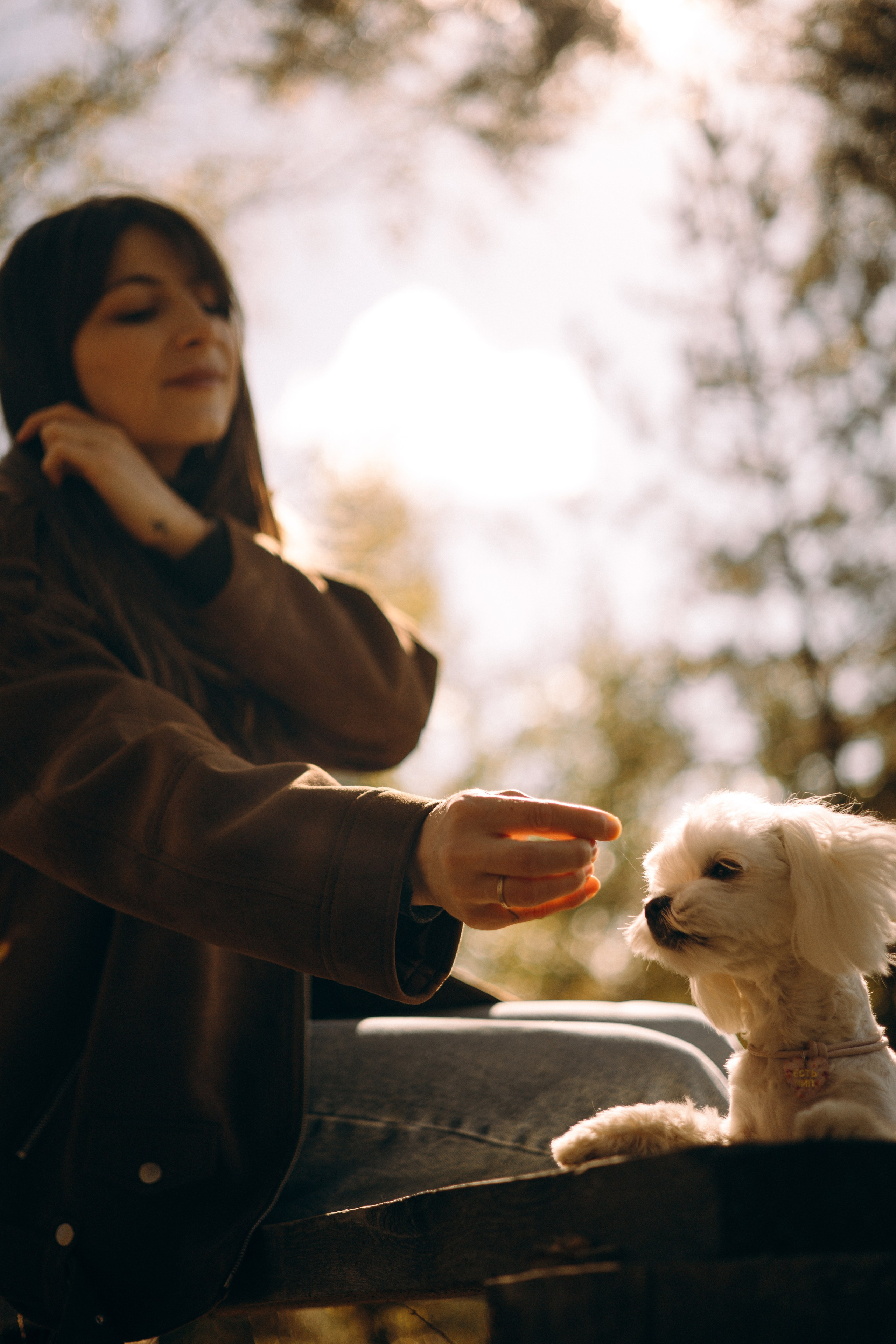 Любовь & Белла. Фотограф — анималист •love-story•|Санкт-Петербург