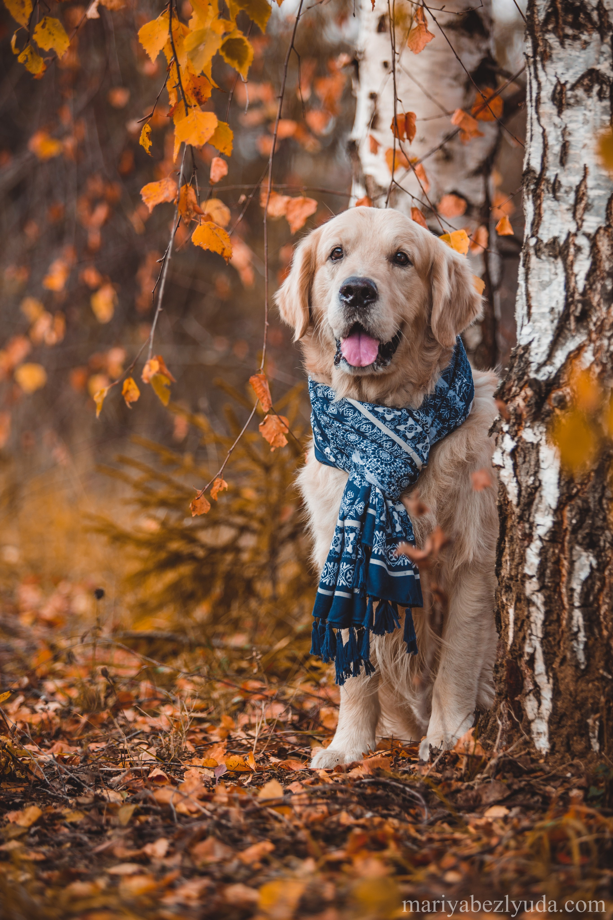 На природе. Семейный и детский фотограф в Москве Мария Быкова