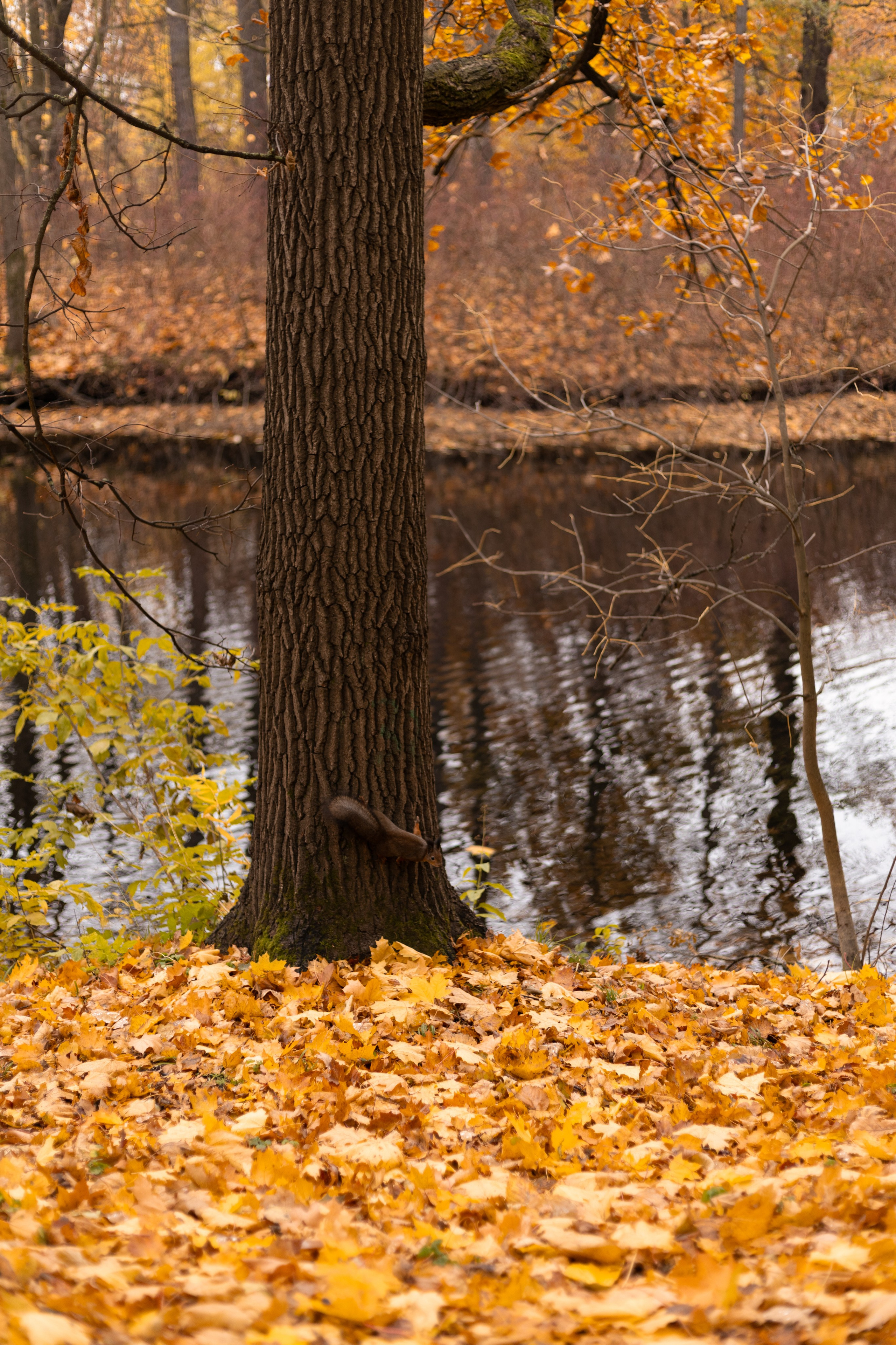 Катя и Карен. Фотограф в Санкт-Петербурге Смирнова Диана