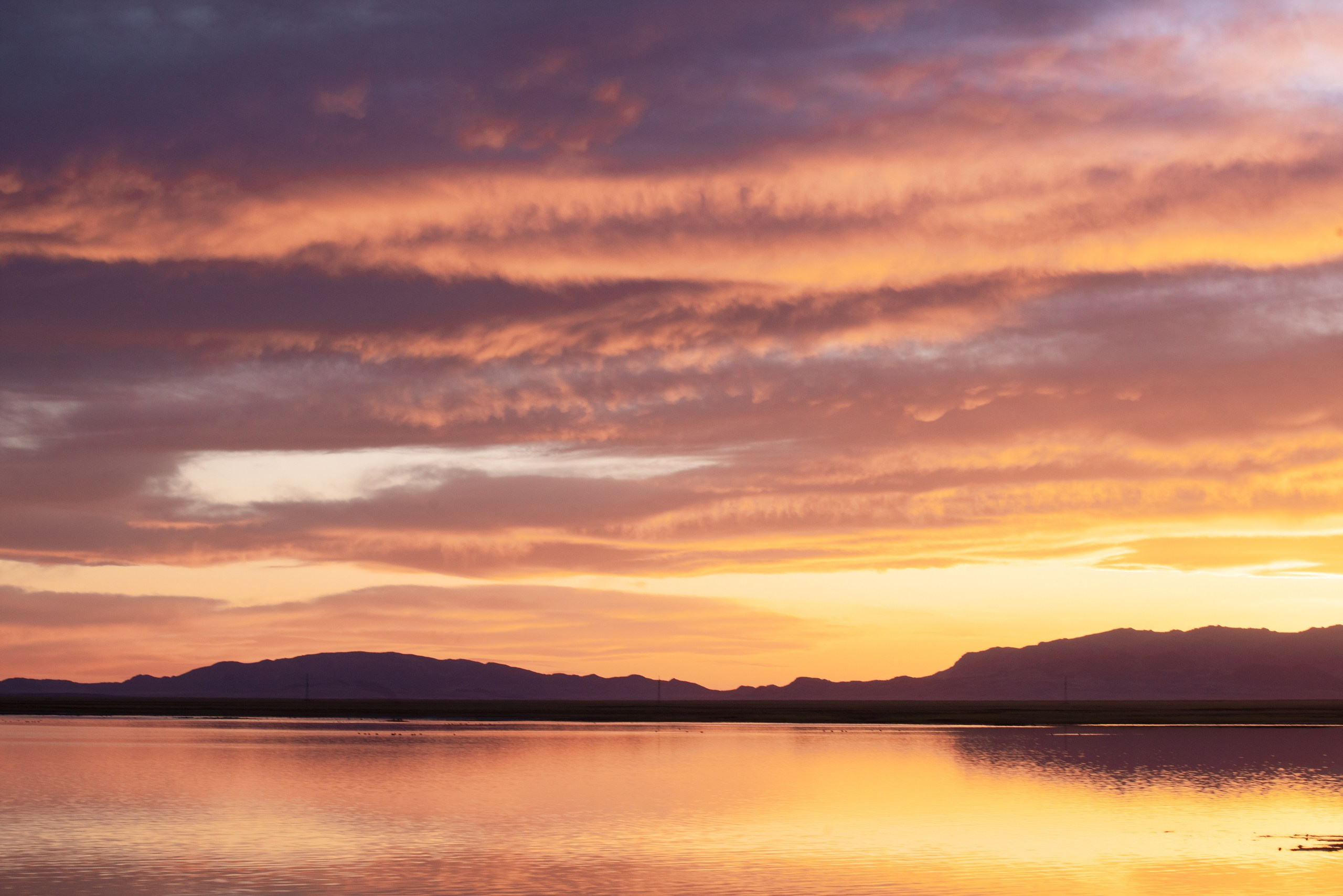 Монголия. Фотограф в Красноярске Нерозя Александр. Пейзаж, природа, портрет