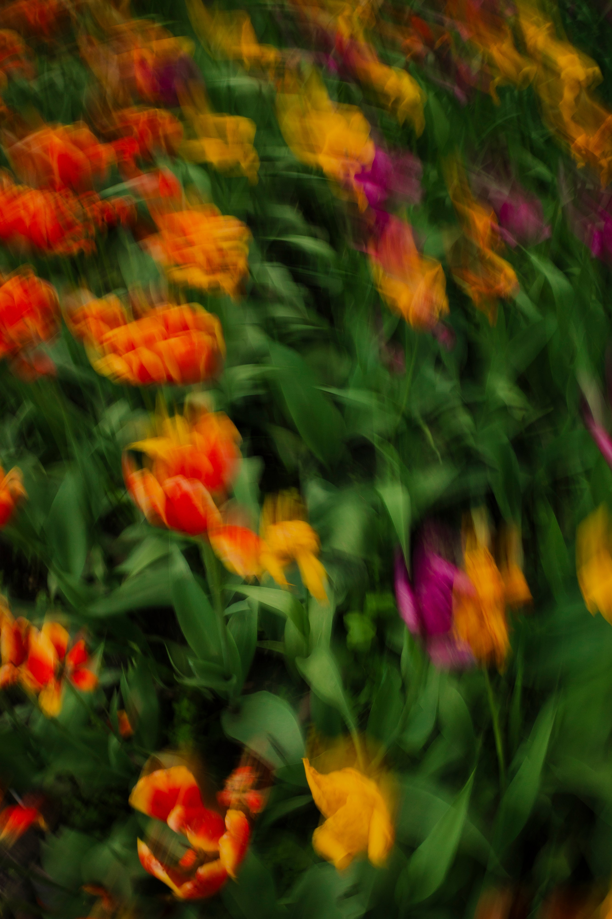 STREET. Портретный и репортажный фотограф в Санкт-Петербурге Максим Пашков