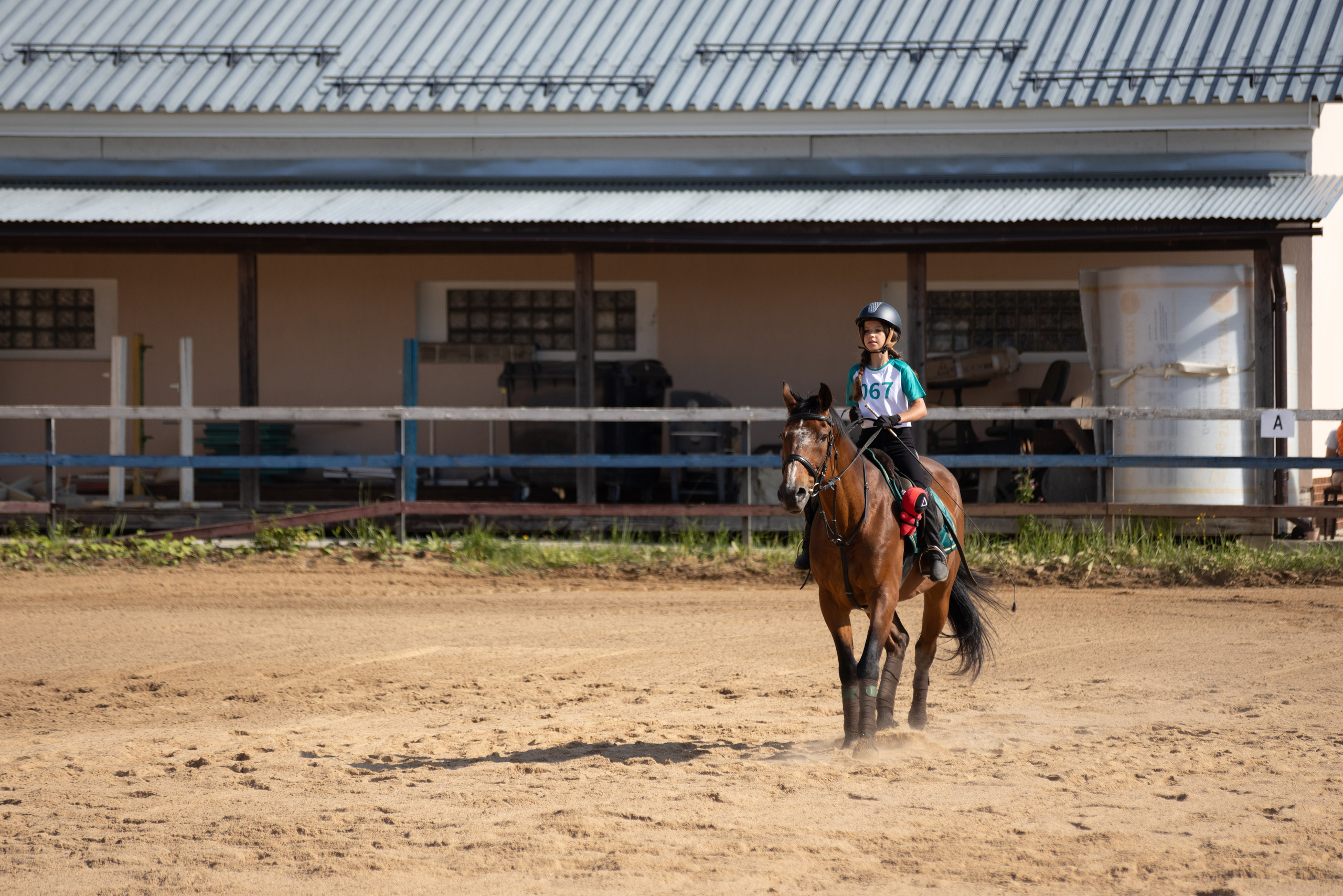 Конюшня. Фотограф в Москве и Истре