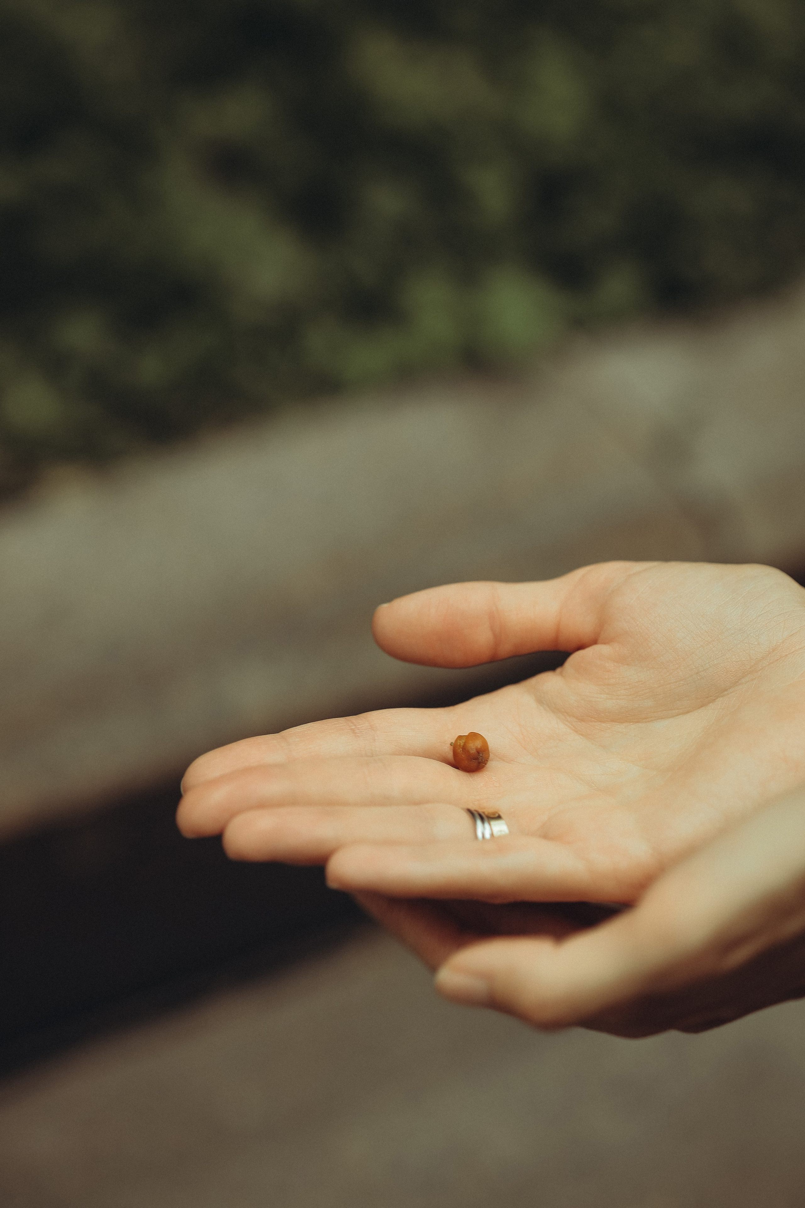 Прогулка у Кремля. Семейный и детский фотограф в Москве Анастасия Меликова
