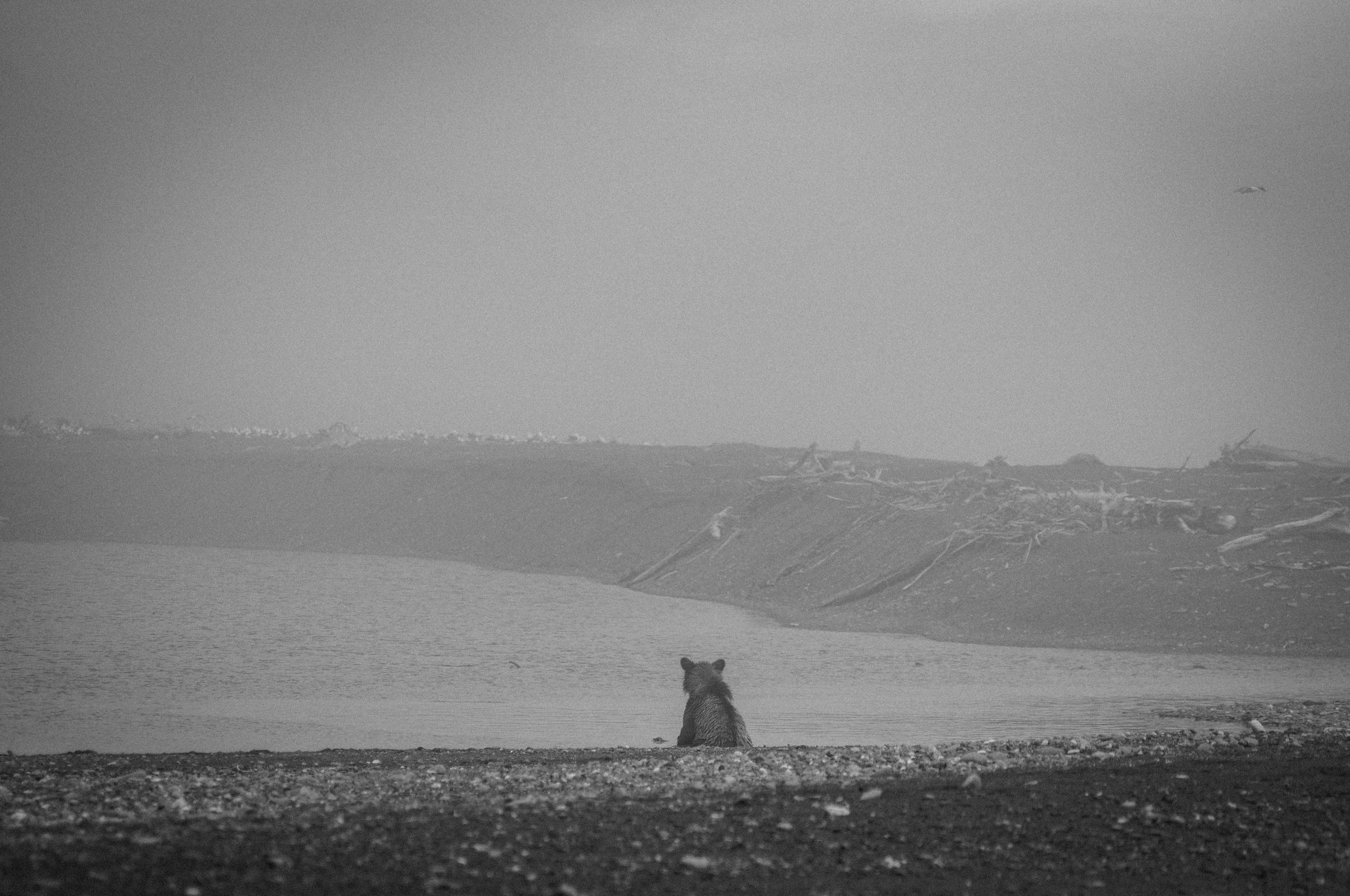 Природа. Фотограф Шариков Илья