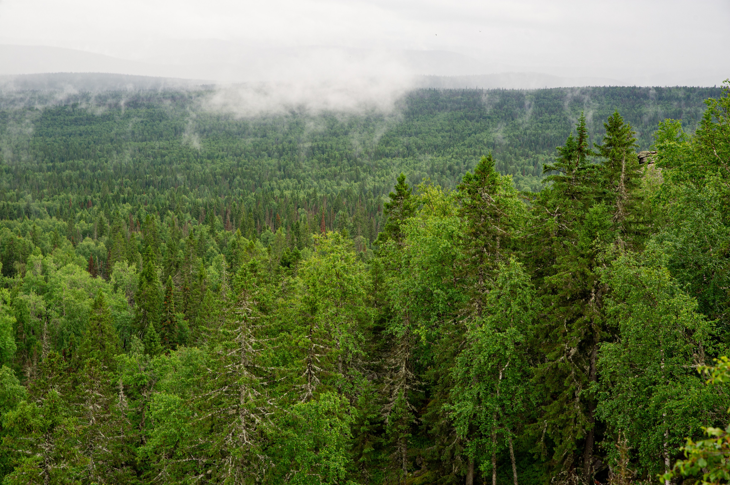 Национальный парк Таганай. Фотограф Шариков Илья