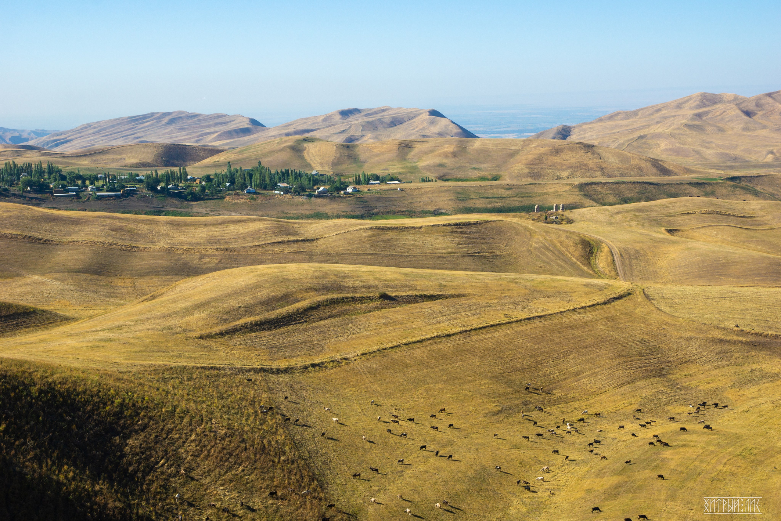 Киргизия. Фотограф-путешественник Самойлов Максим «Sly Fox»