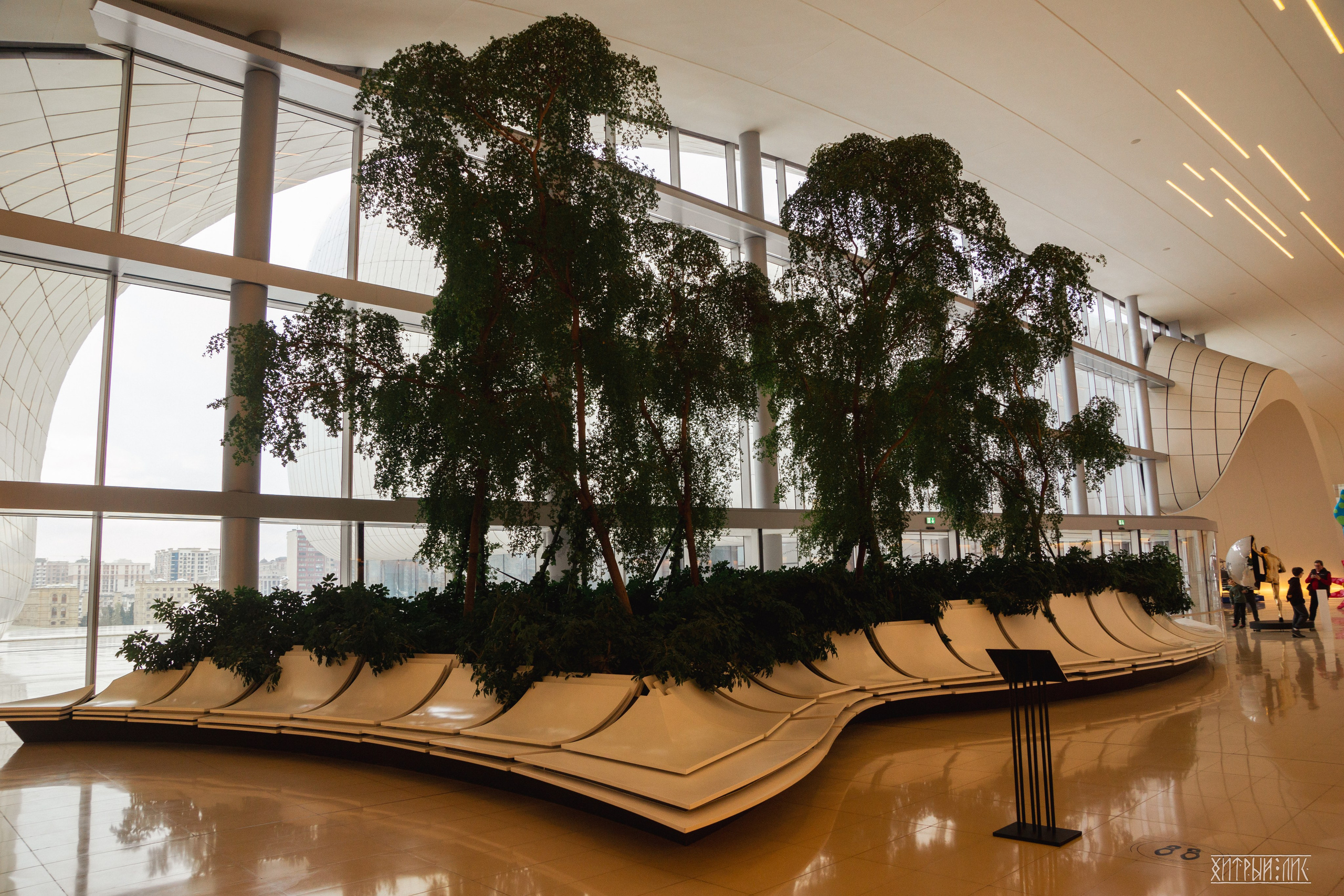 Баку. Фотограф-путешественник Самойлов Максим «Sly Fox»