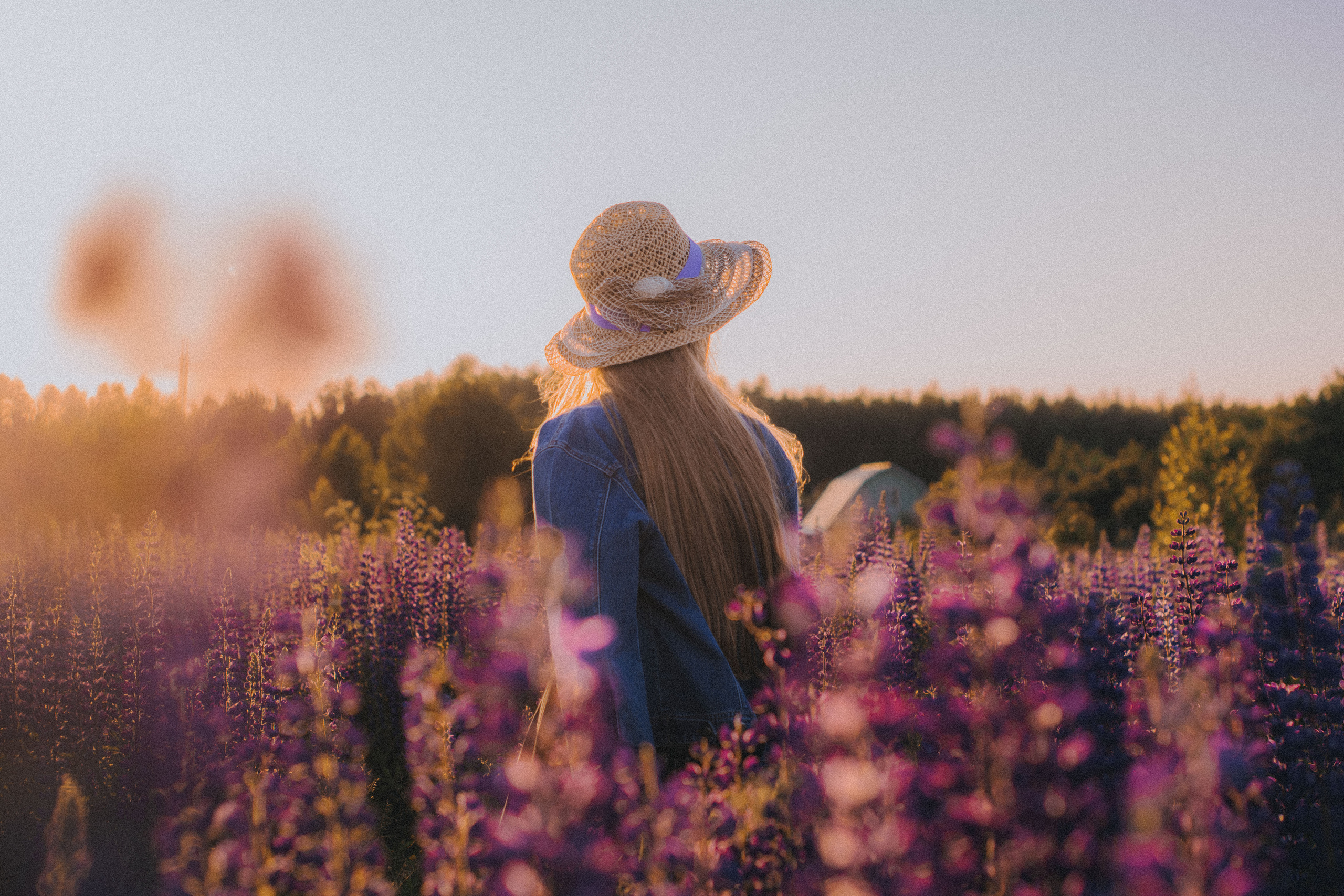 Ksyusha. Портретный фотограф в Иваново Воробьев Алексей