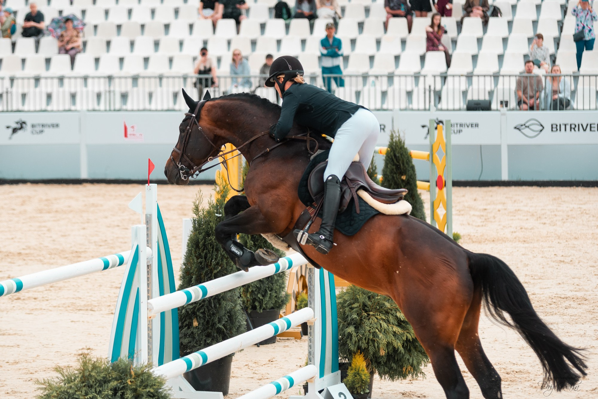 BITRIVER CUP 2023. Конный фотограф Куракина Дарья • Фотосессии с лошадьми