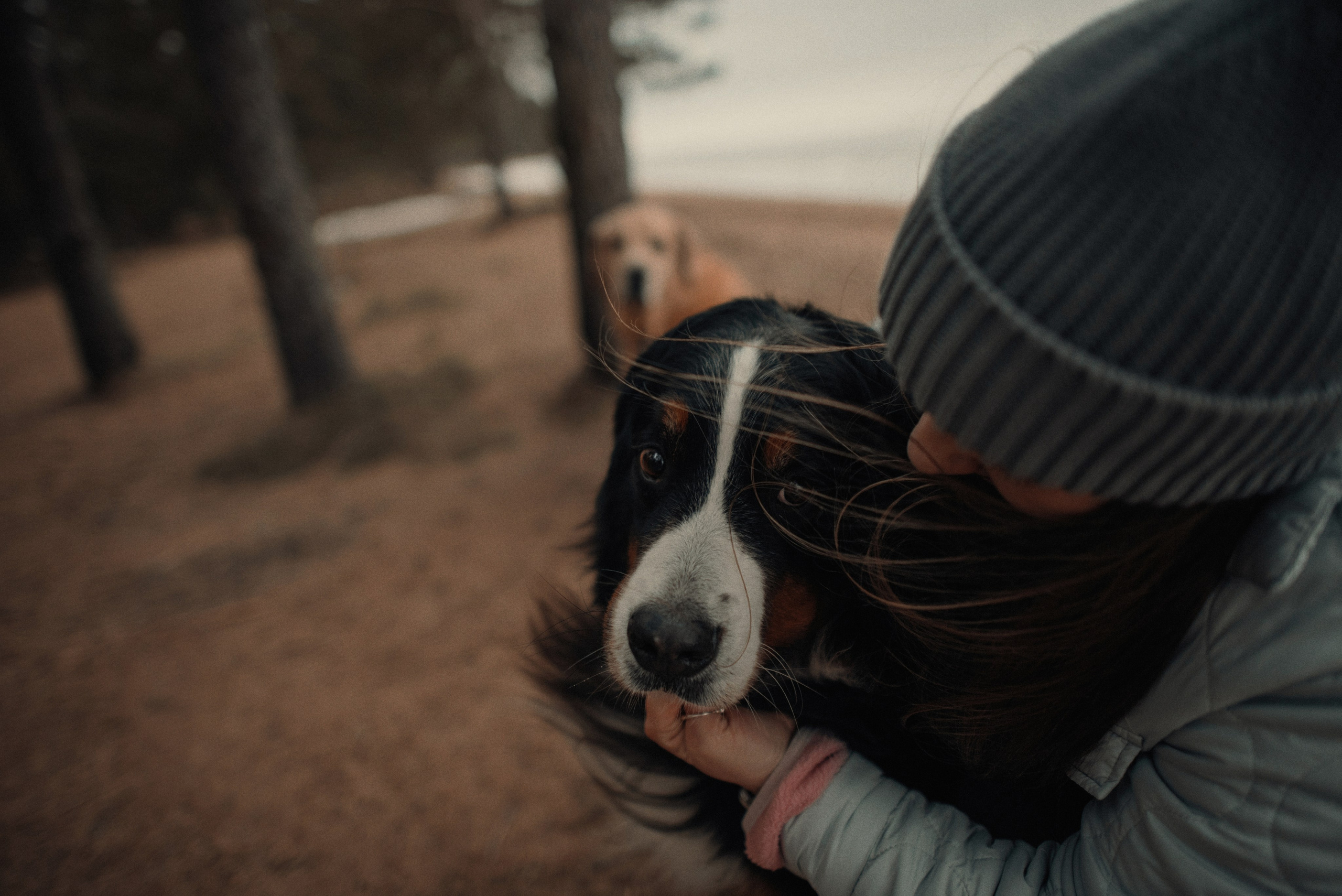 Прогулка: берн Пума, Фрэнк и Юля в Питере. Портфолио