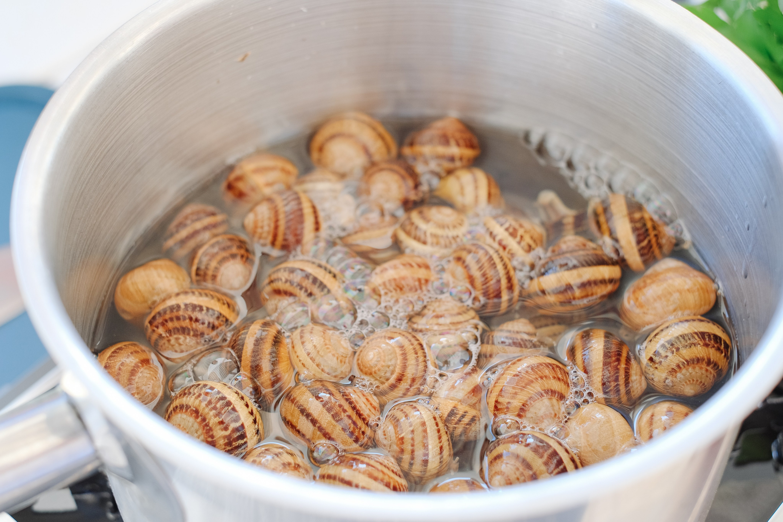 Репортаж на ферме. Профессиональная фотосъемка в Крыму. Натуральные эмоции и живые кадры. Забронируйте дату прямо сейчас!