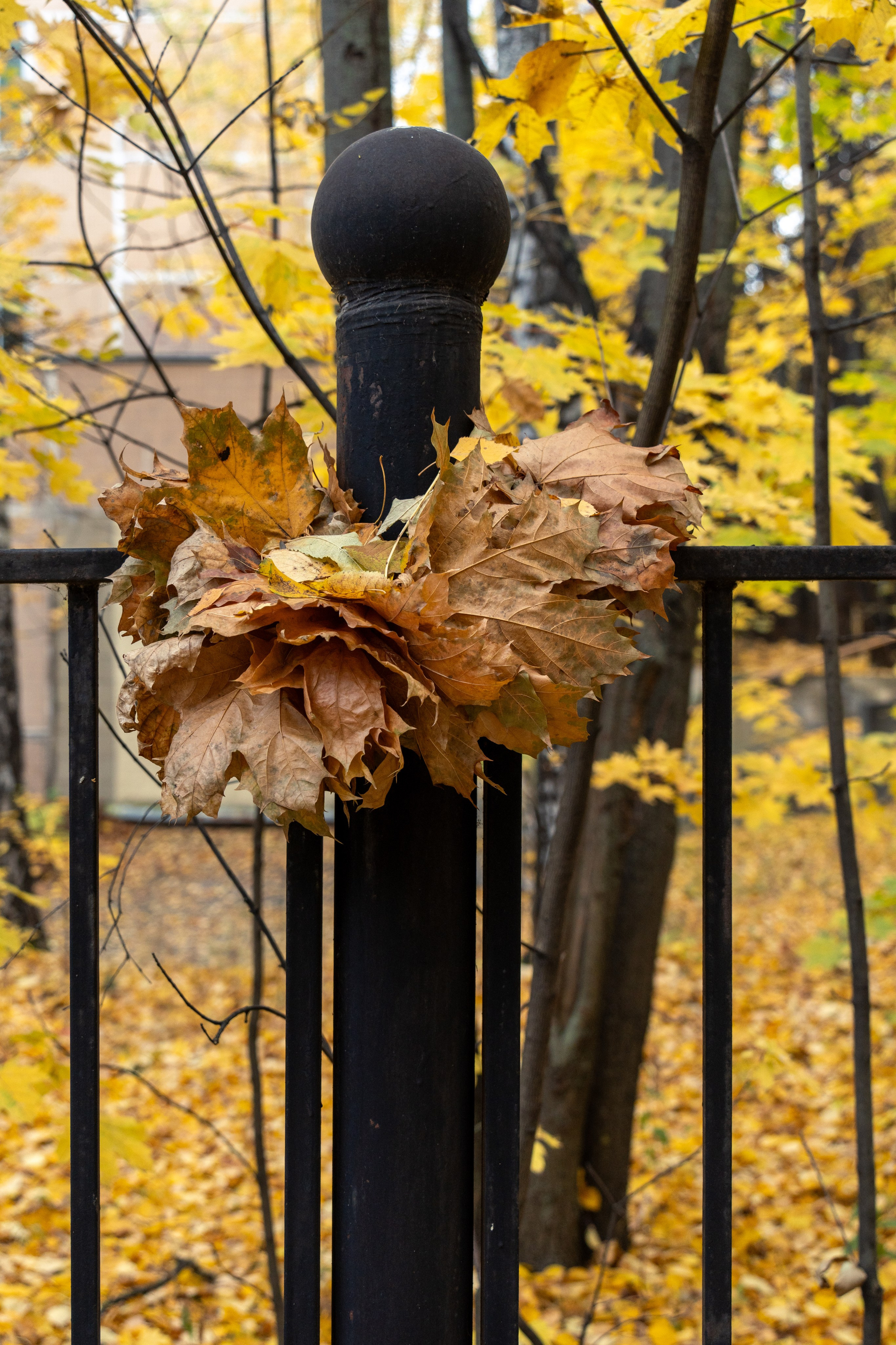 20251012 МГУ. Дмитрий Ремизов. Фотография, как хобби