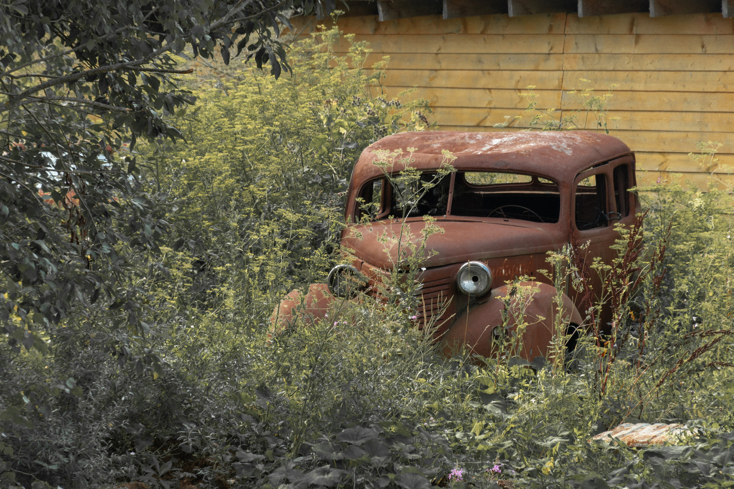 20210807 Автокомбинат. Дмитрий Ремизов. Фотография, как хобби
