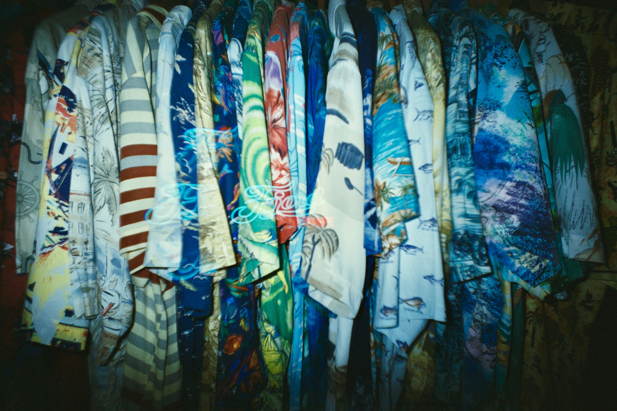 Fjordcloth. Tatiana Darina — film photographer in St. Petersburg