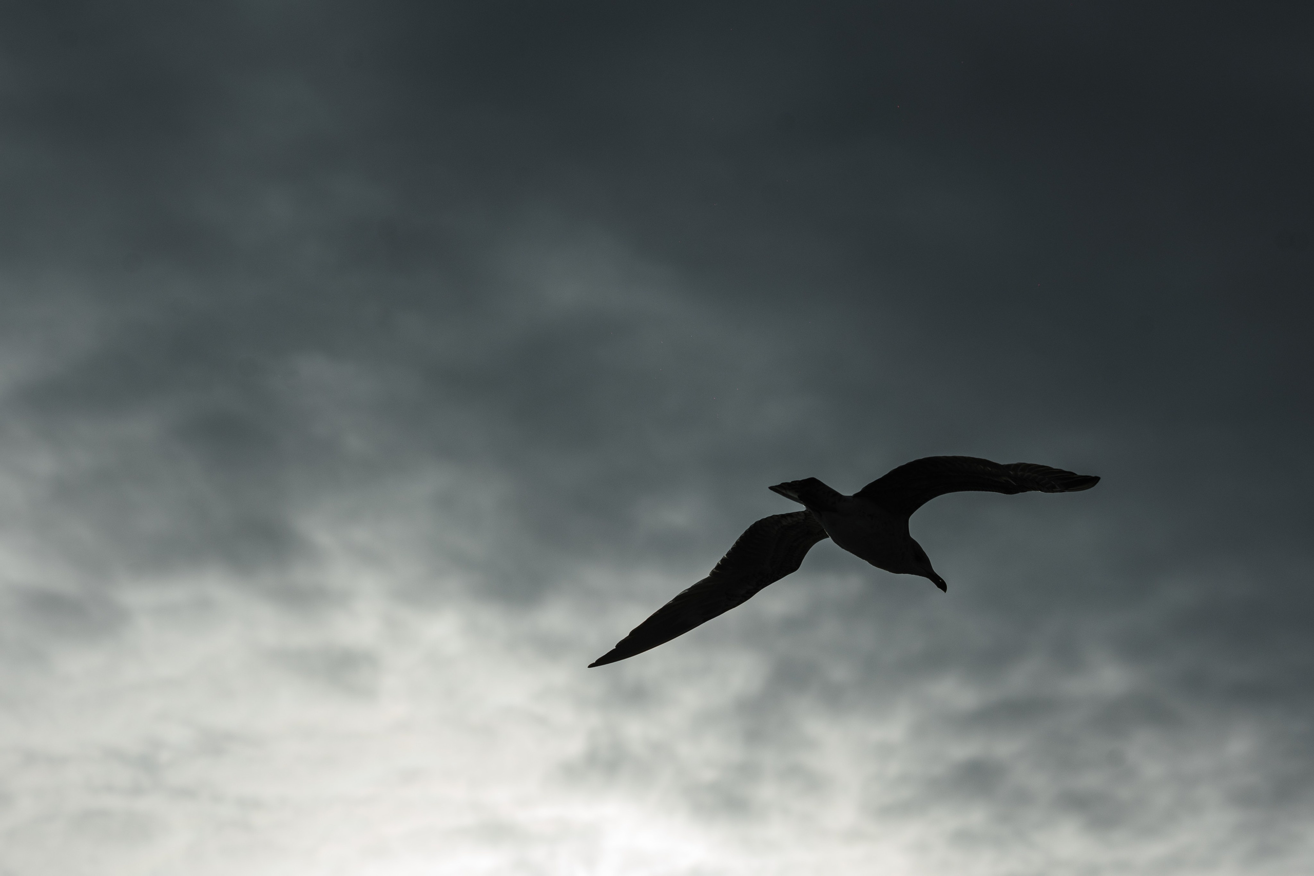 Türkiye. Свадебный и семейный фотограф в Краснодаре Роман Моско