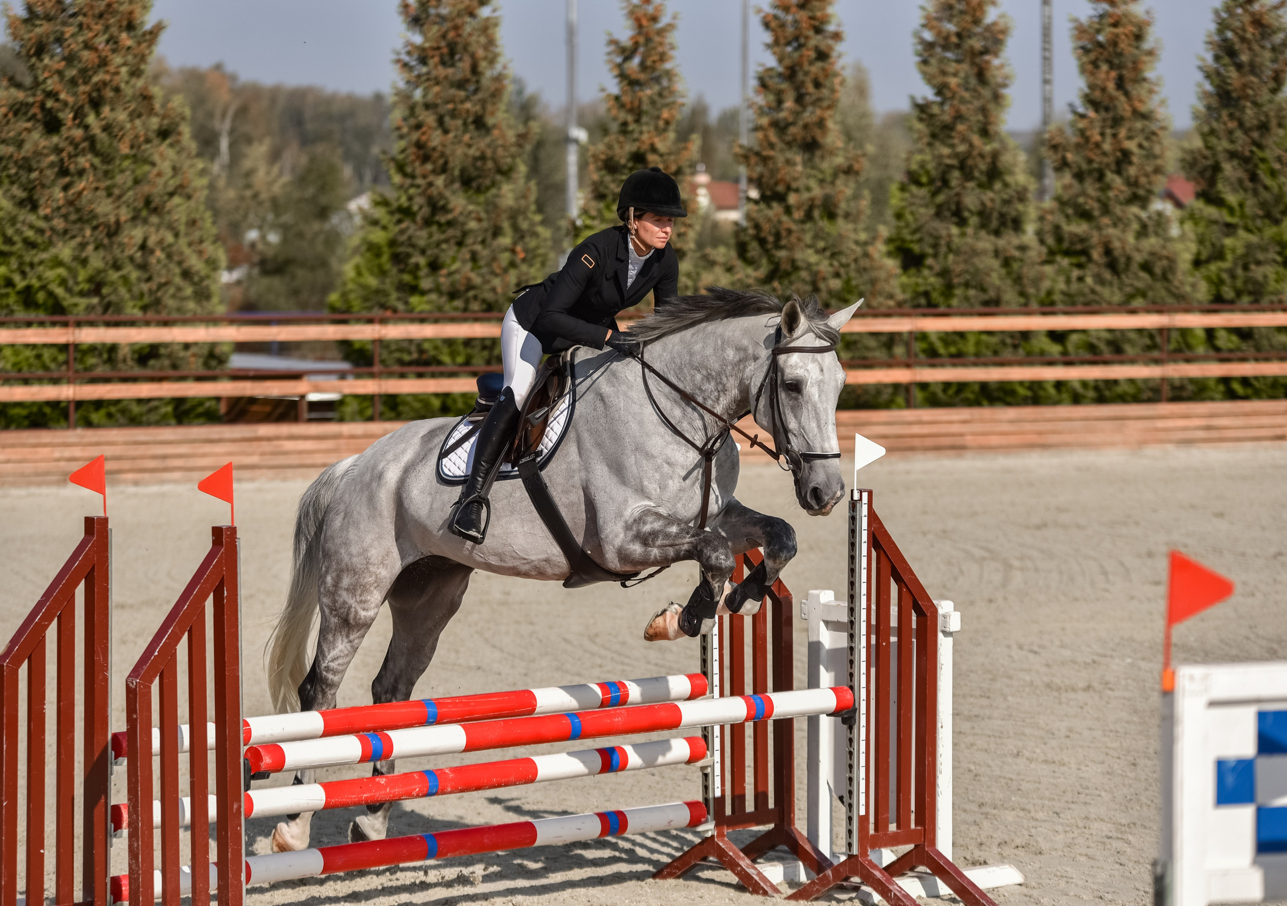 Репортажная съемка конных мероприятий. Конный фотограф из Москвы Ирина Бондаркова