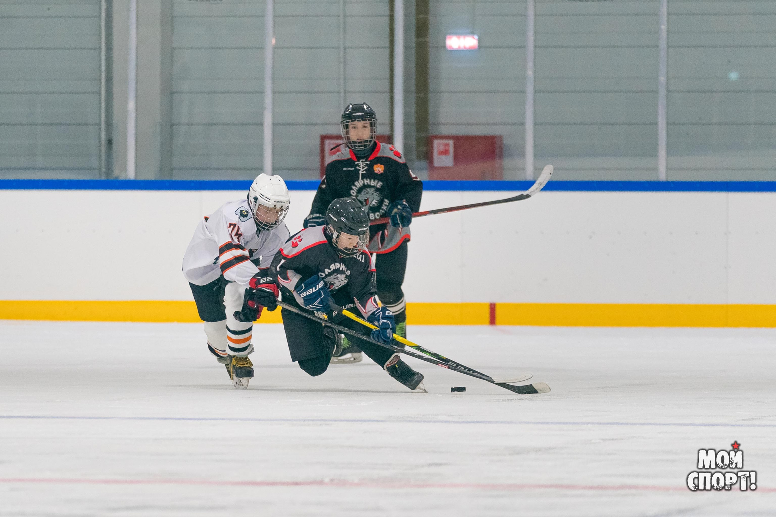 Первенство ДФО по хоккею. Студия «Мой Спорт!» — все о спорте в Якутии
