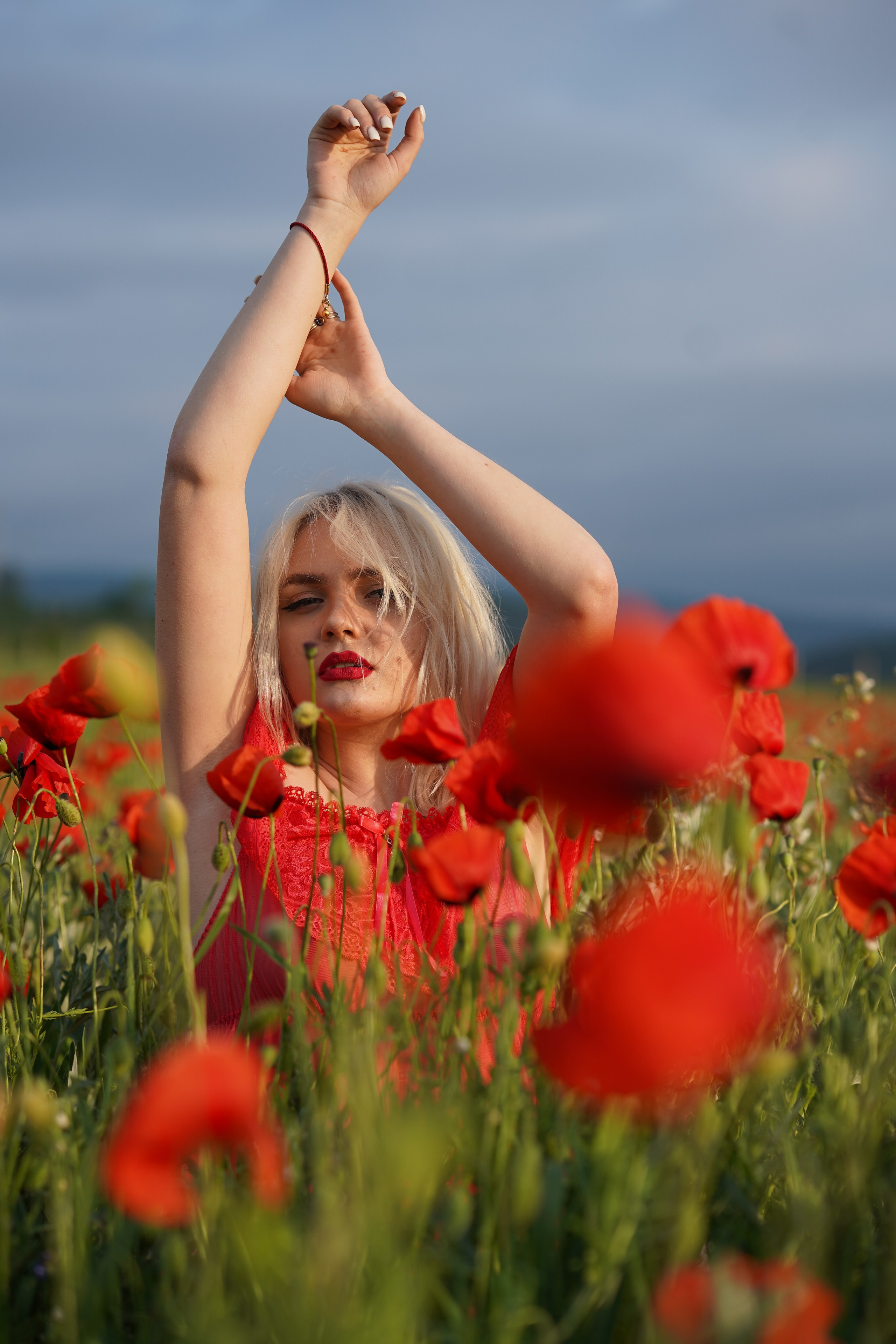 Фото в маковом поле. Фотограф Елена — Севастополь, Крым, Москва