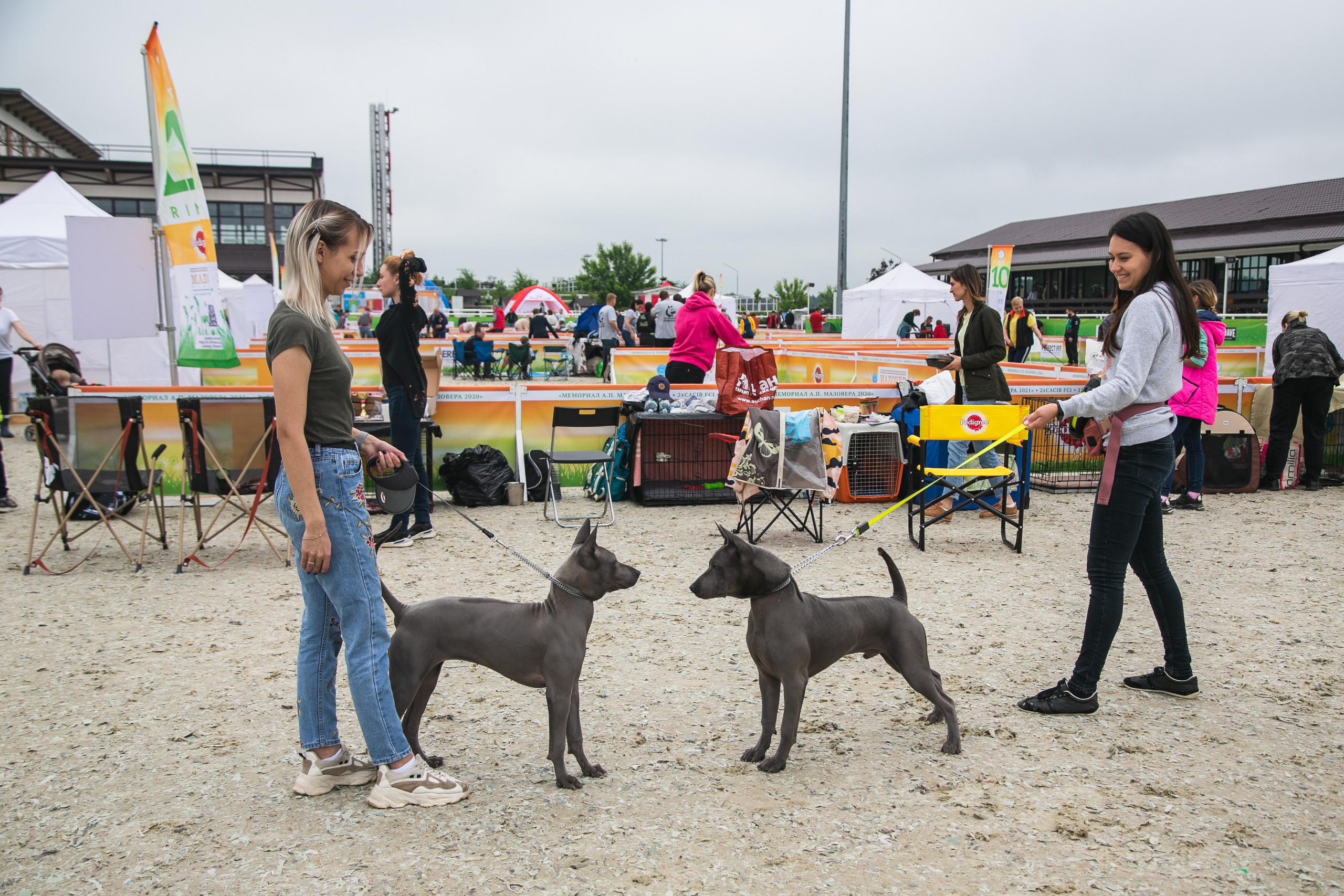 Выставки. Профессиональный фотограф Евгений Земцов в Москве. Контент съемка, репортаж мероприятий, бизнес портреты