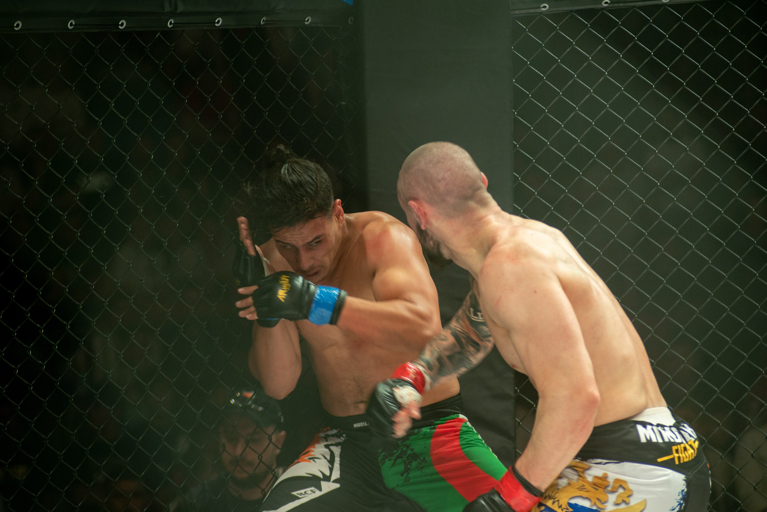 Miroslava Fight