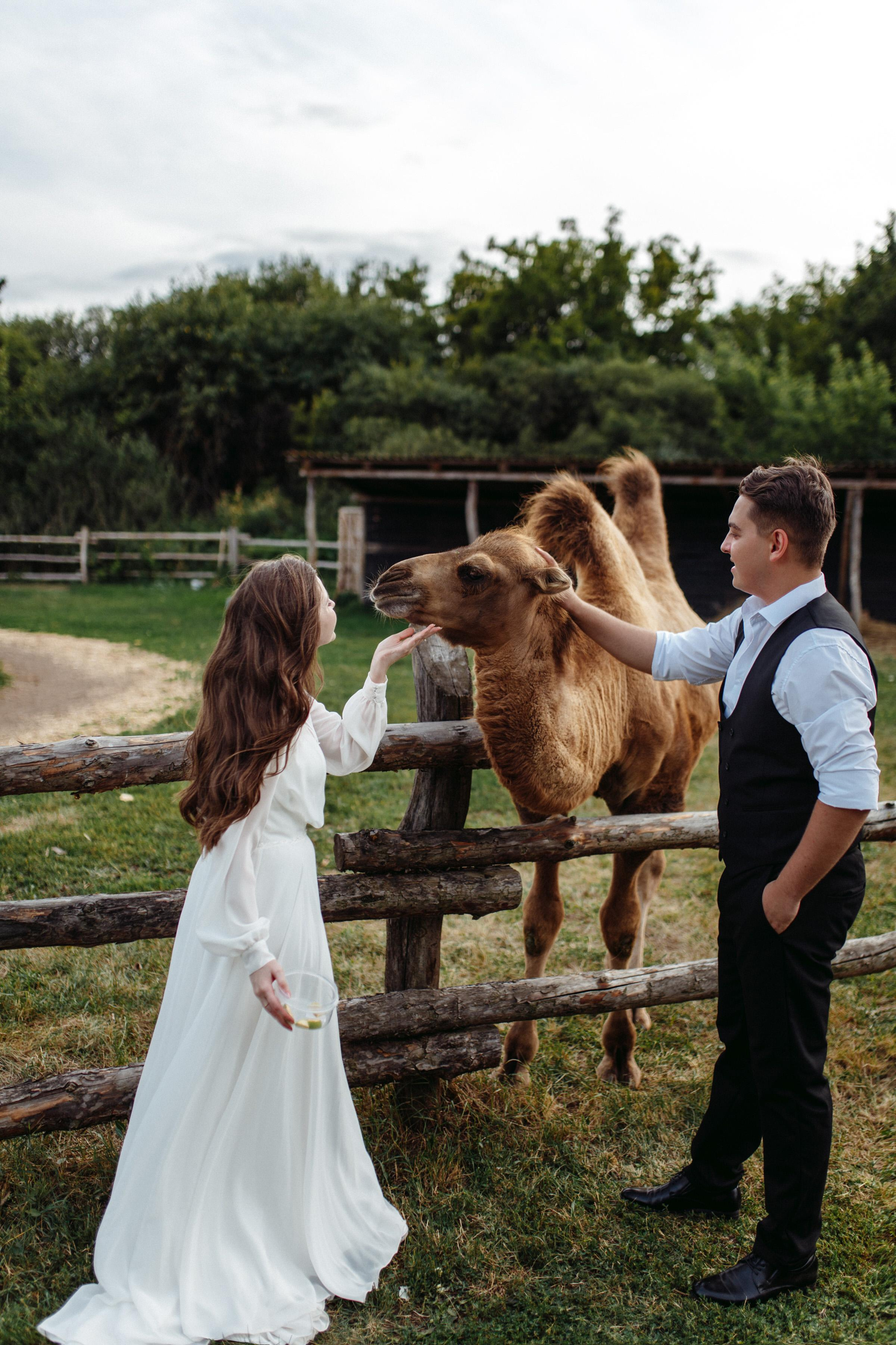 ALINA & DMITRY. Свадебное ФОТО & ВИДЕО Москва/Липецк