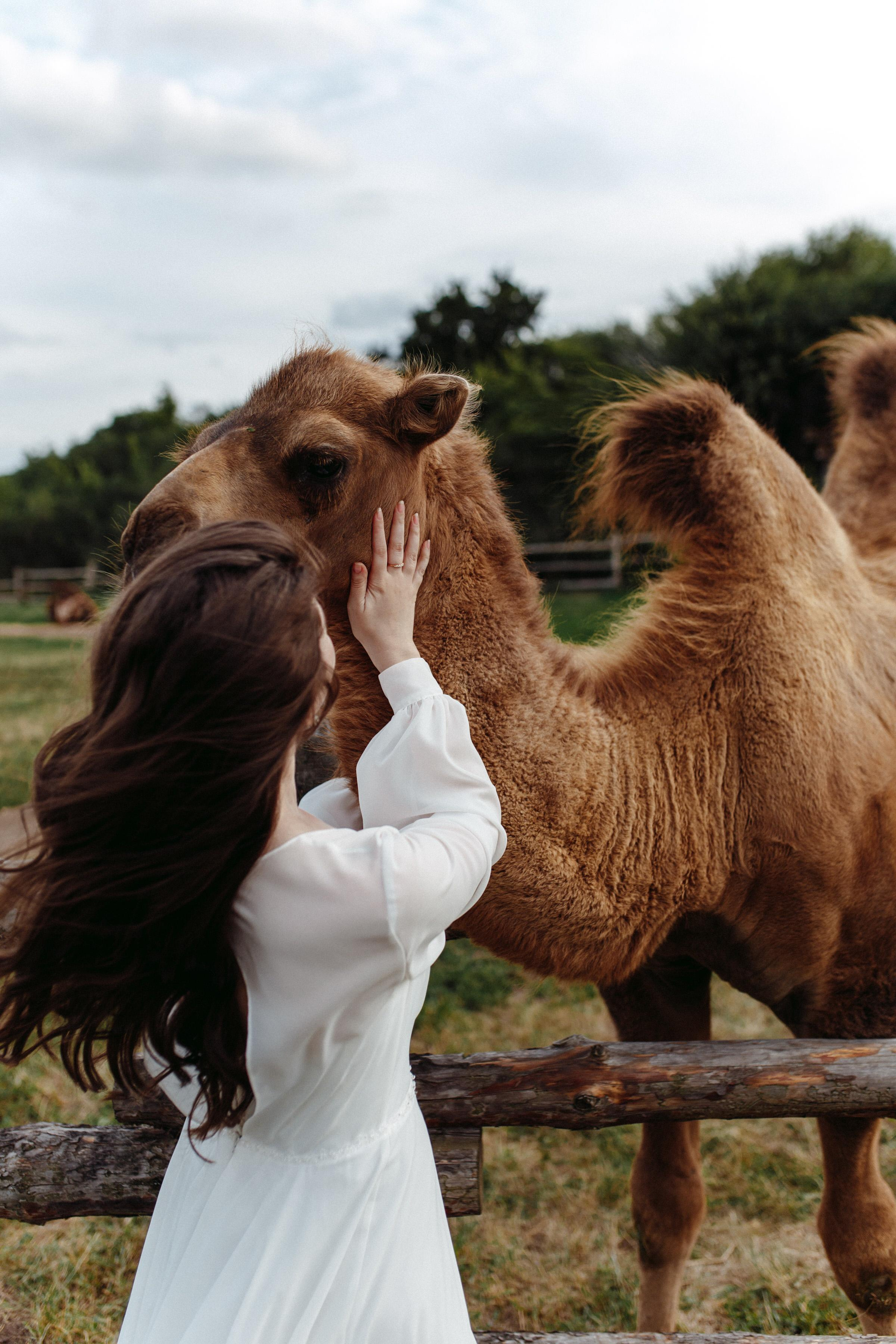 ALINA & DMITRY. Свадебное ФОТО & ВИДЕО Москва/Липецк