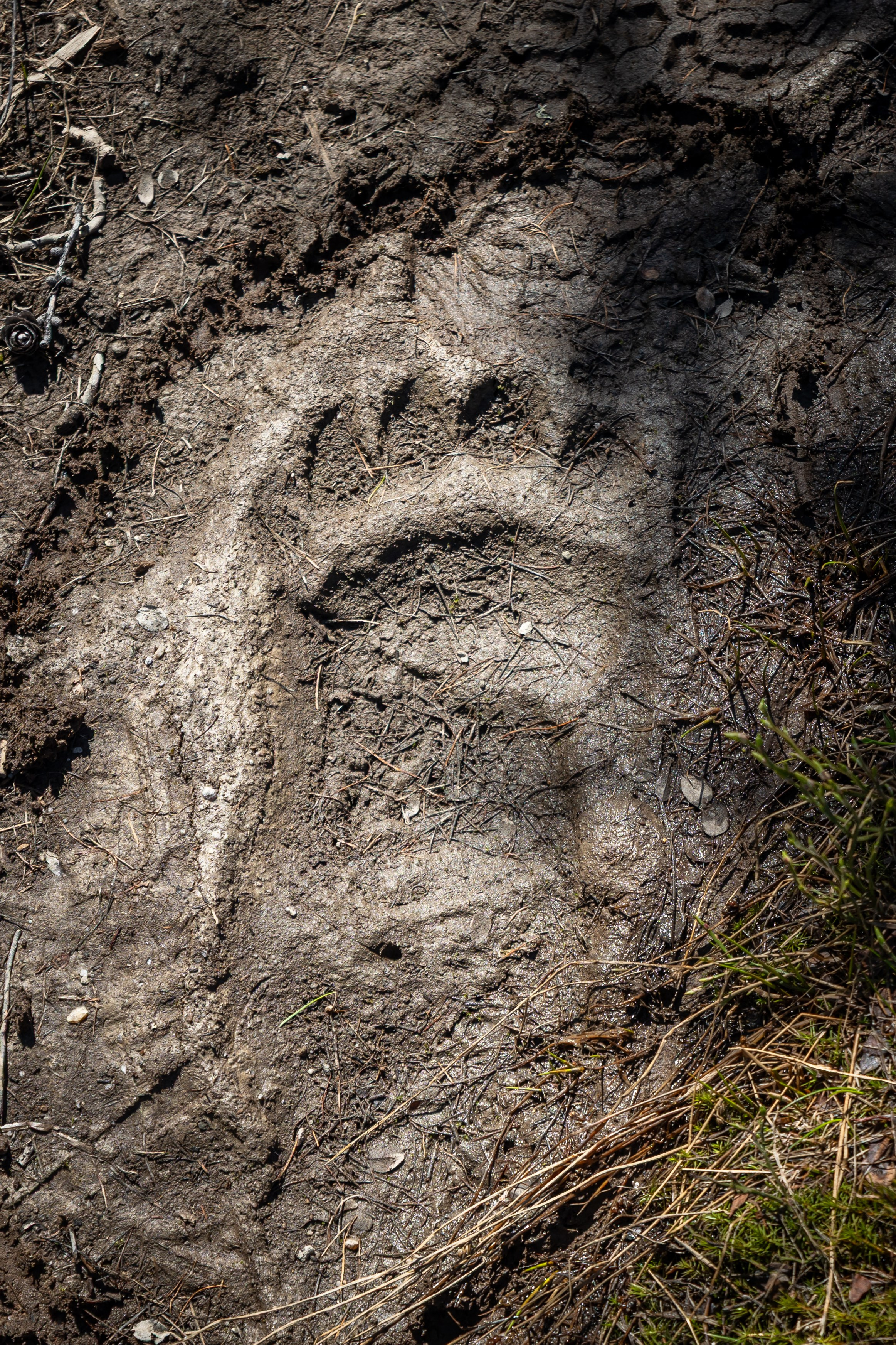 Приполярный Урал. Тревел-фотограф Олег Гуров